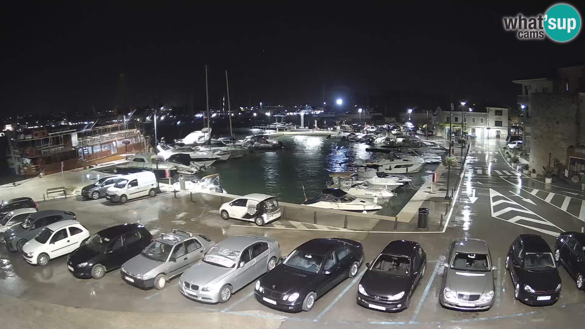 Novigrad | Porporela marina