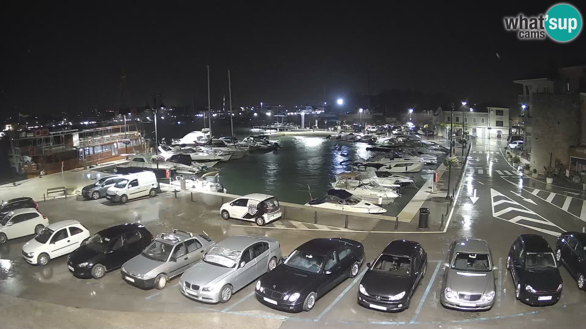 Novigrad | Porporela marina