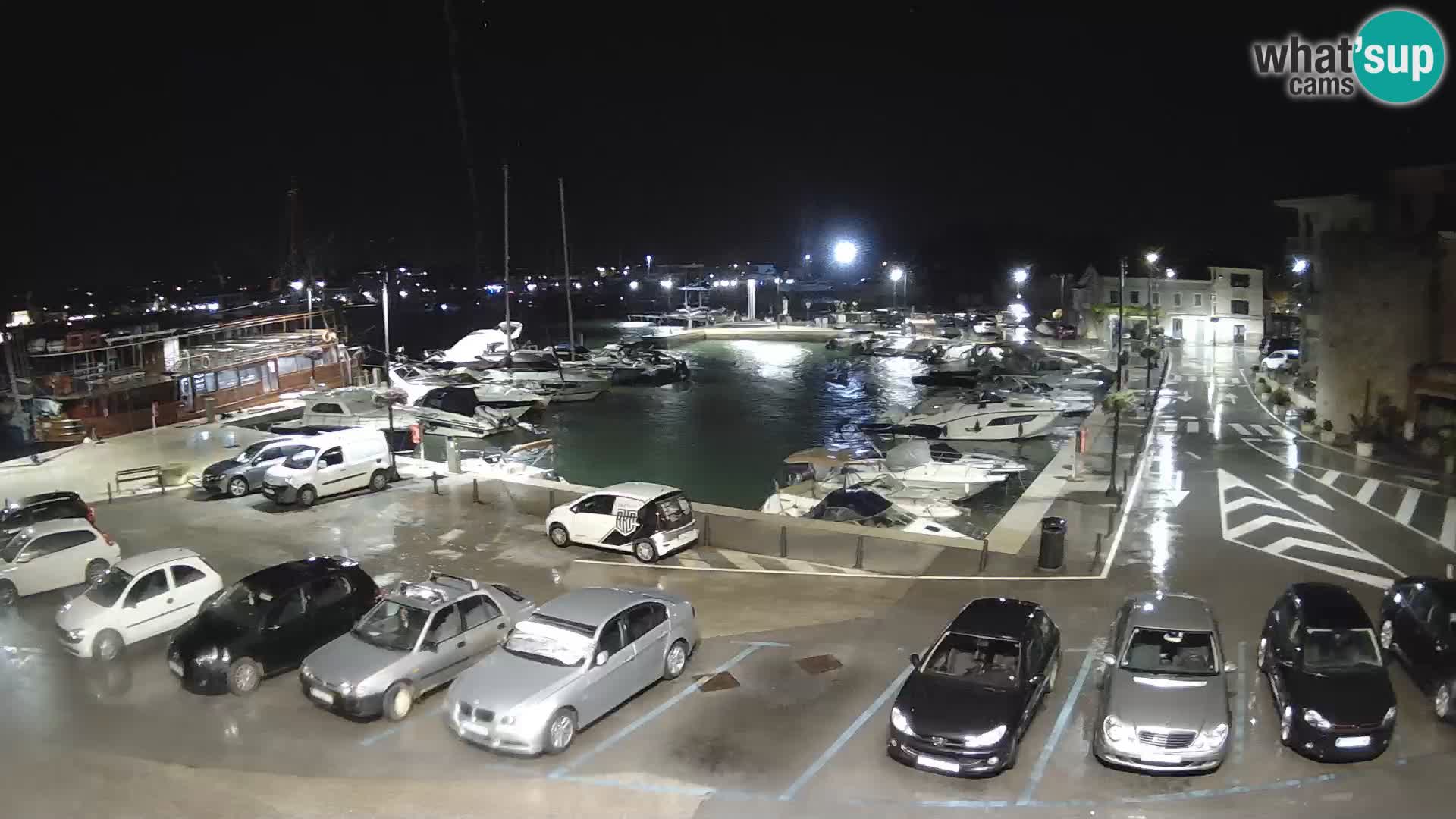 Novigrad | Porporela marina