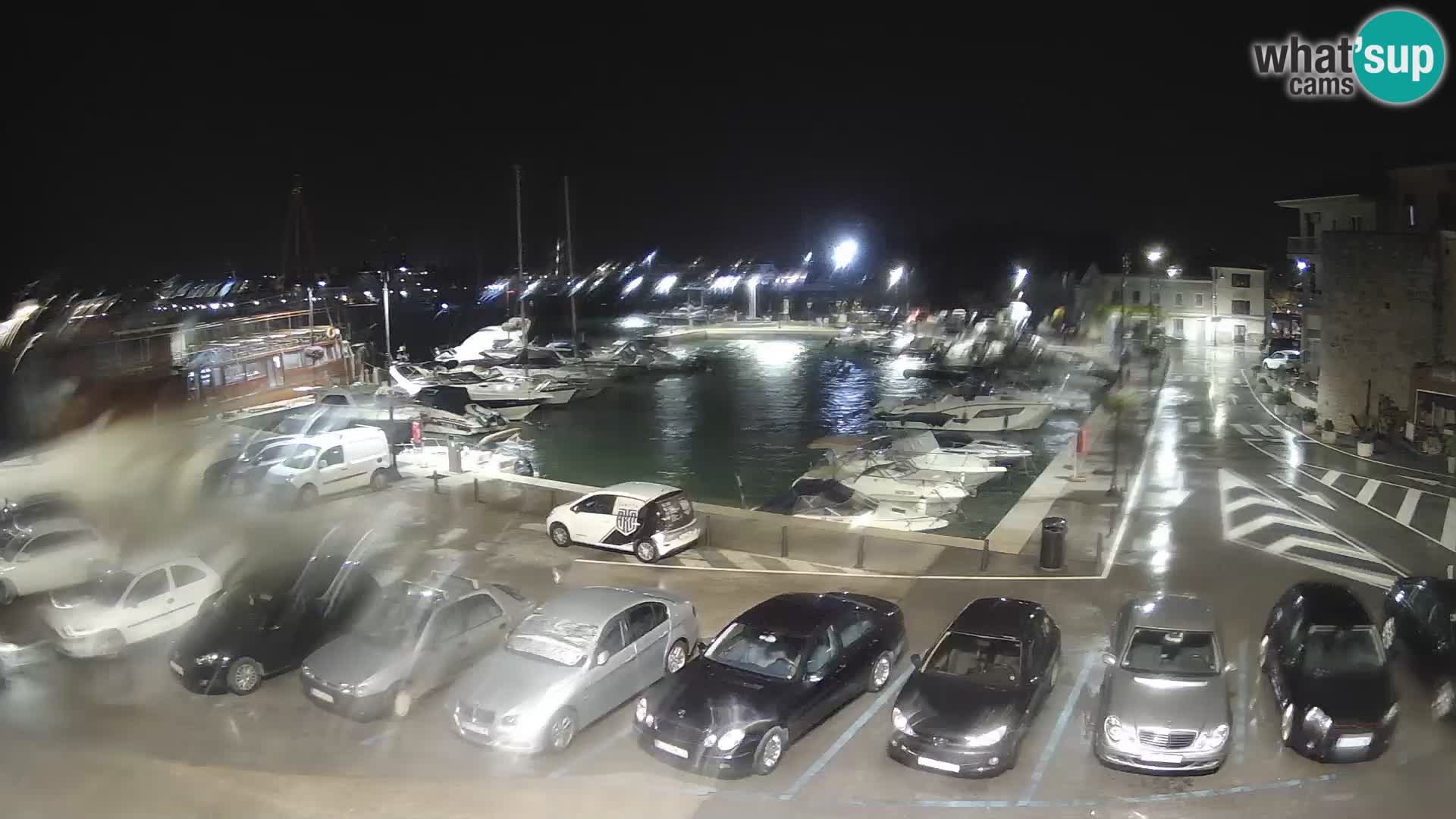 Novigrad | Porporela marina