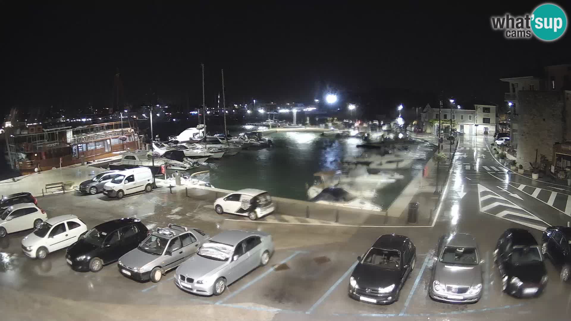 Novigrad | Porporela marina