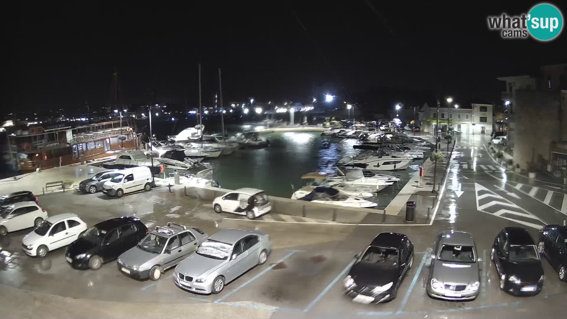 Novigrad | Porporela marina