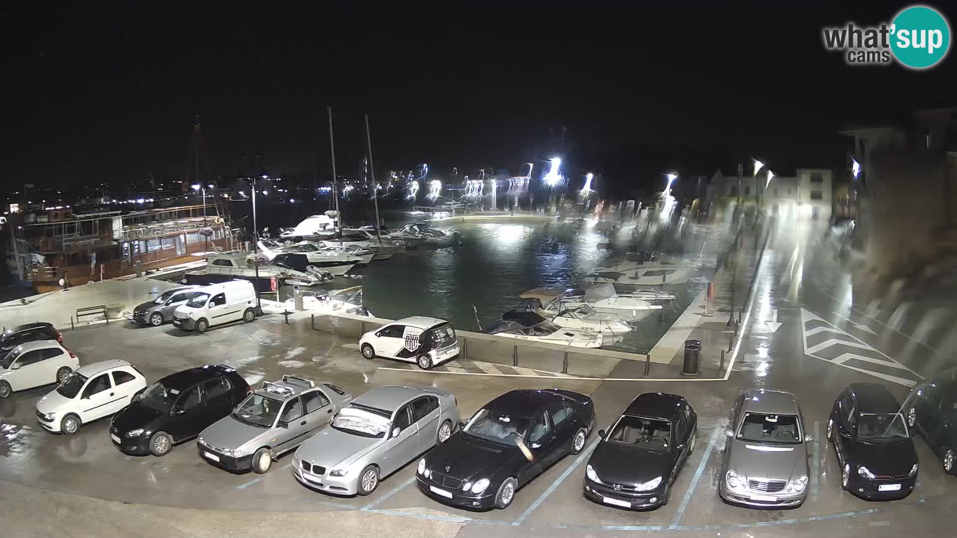 Novigrad | Porporela marina