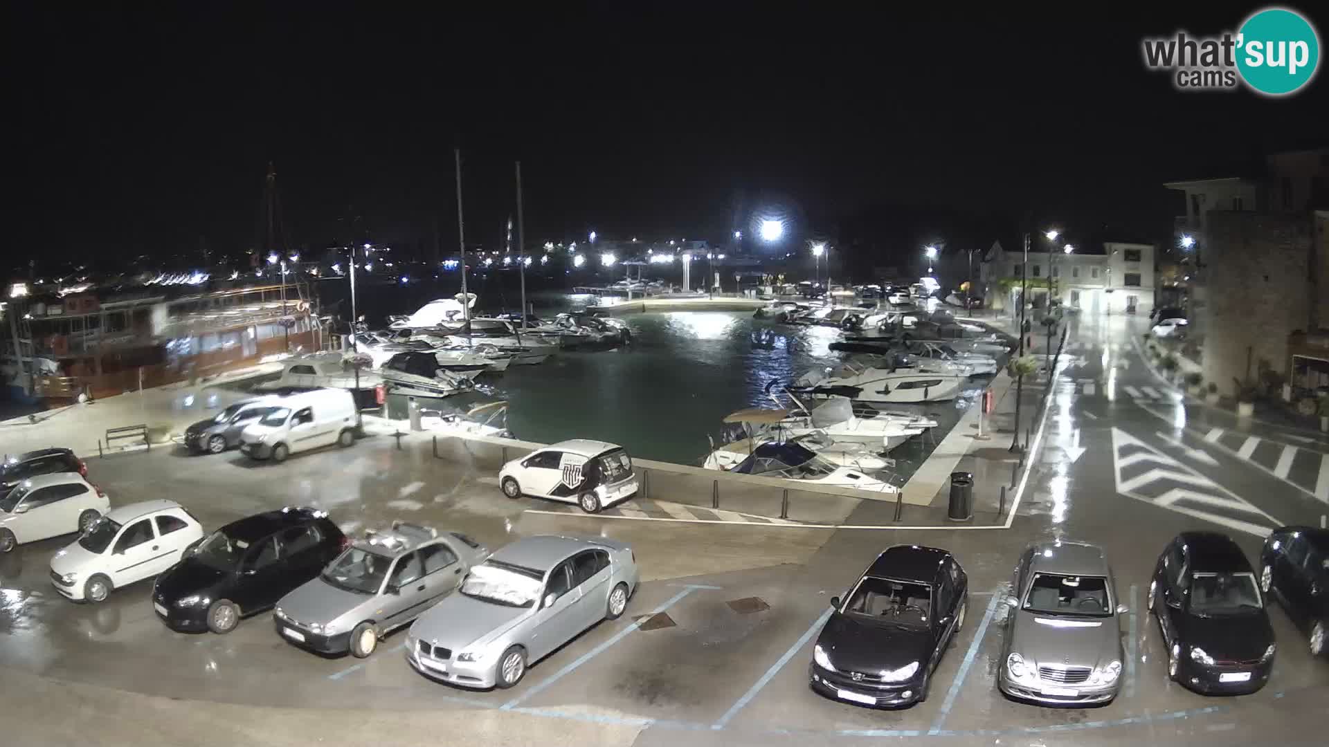 Novigrad | Porporela marina
