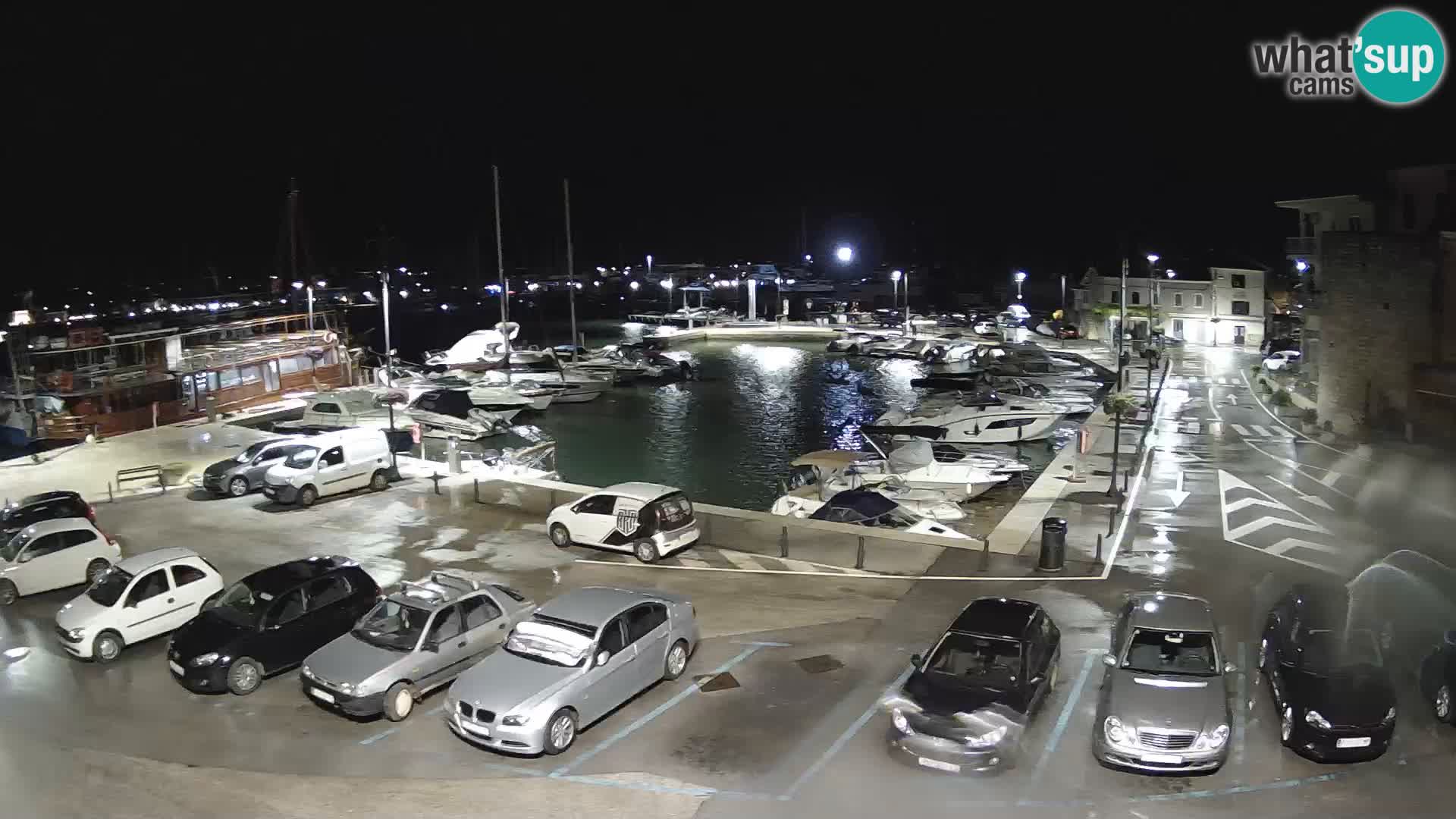 Novigrad | Porporela marina