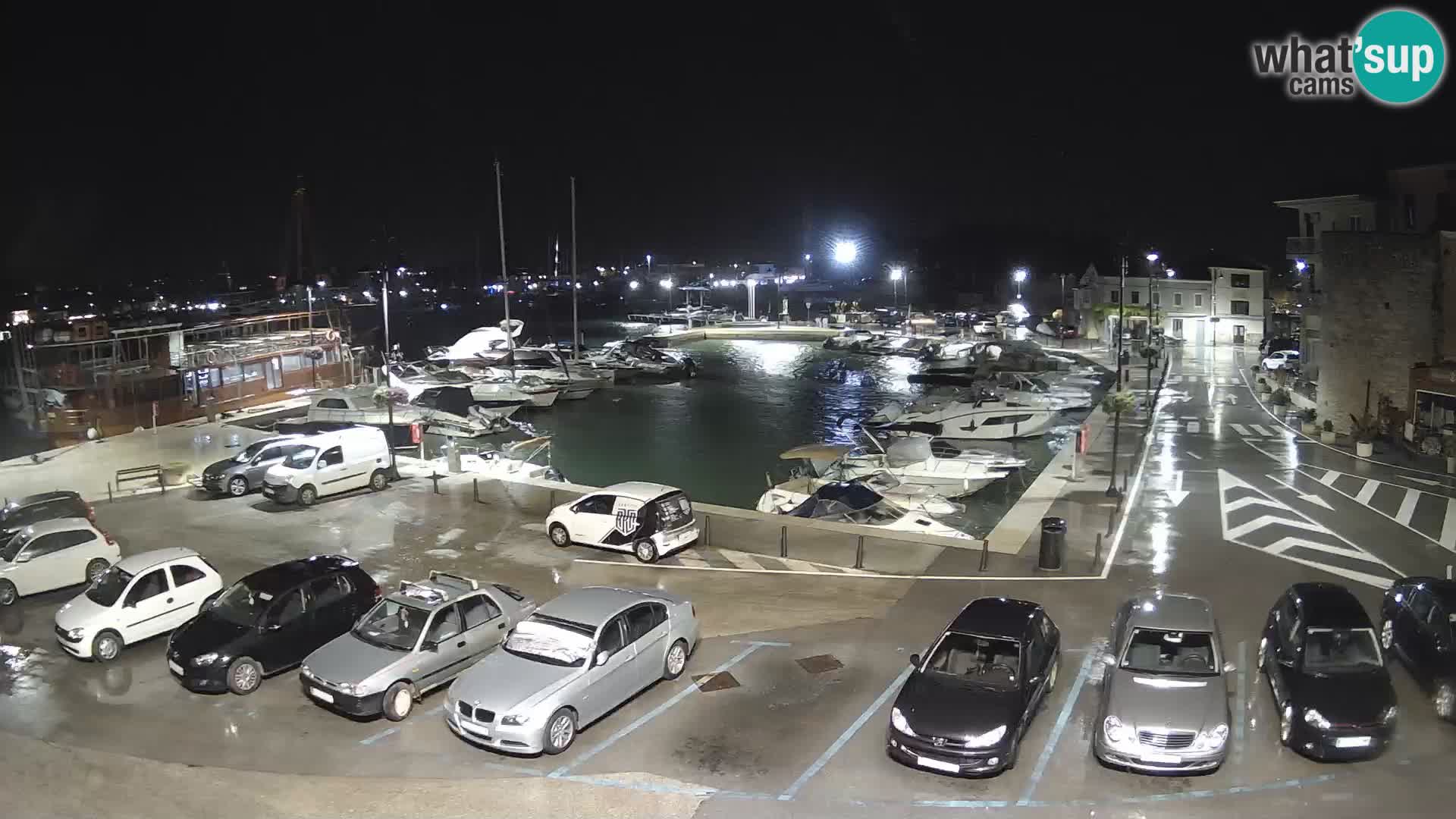 Novigrad | Porporela marina