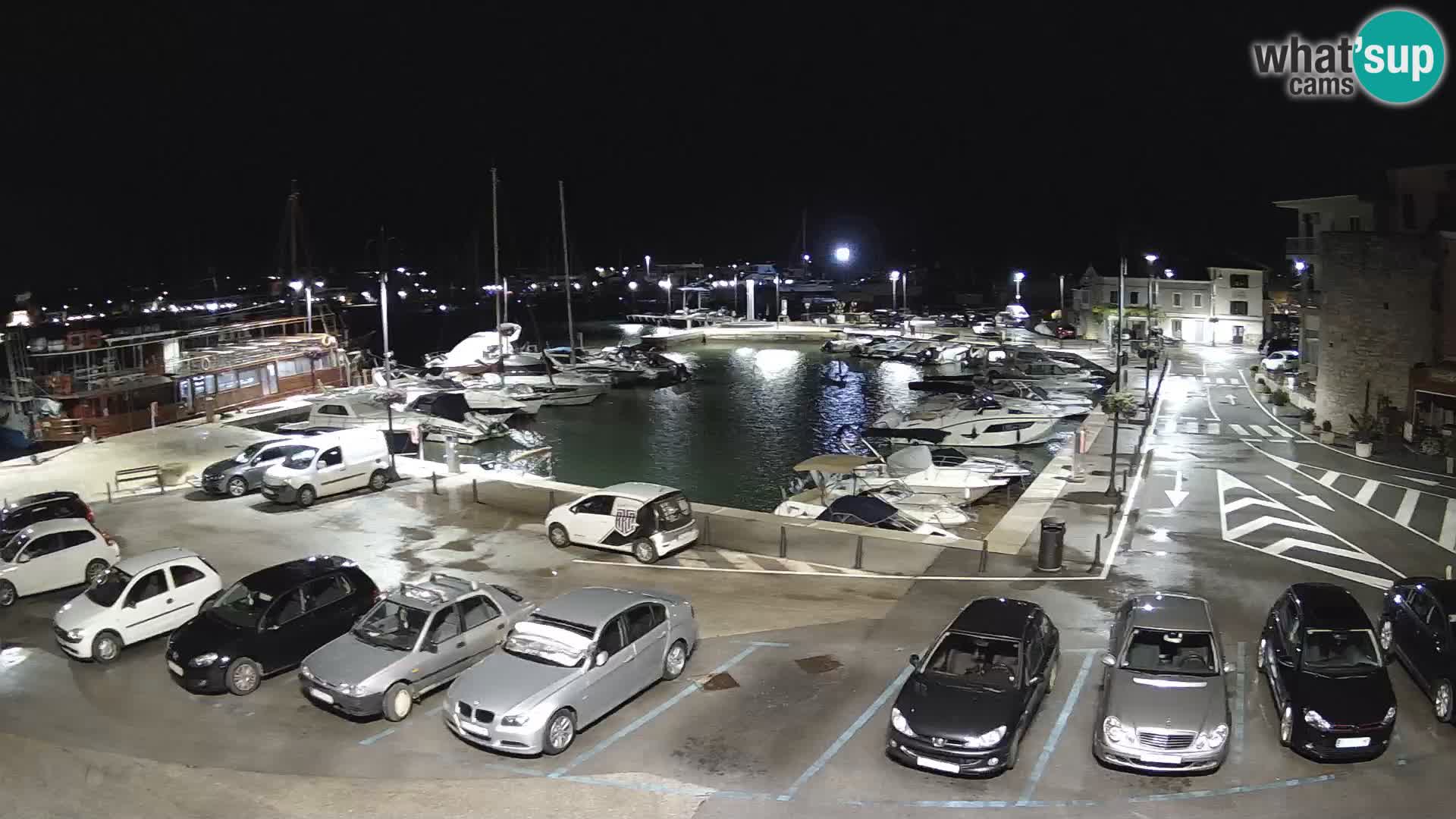 Novigrad | Porporela marina