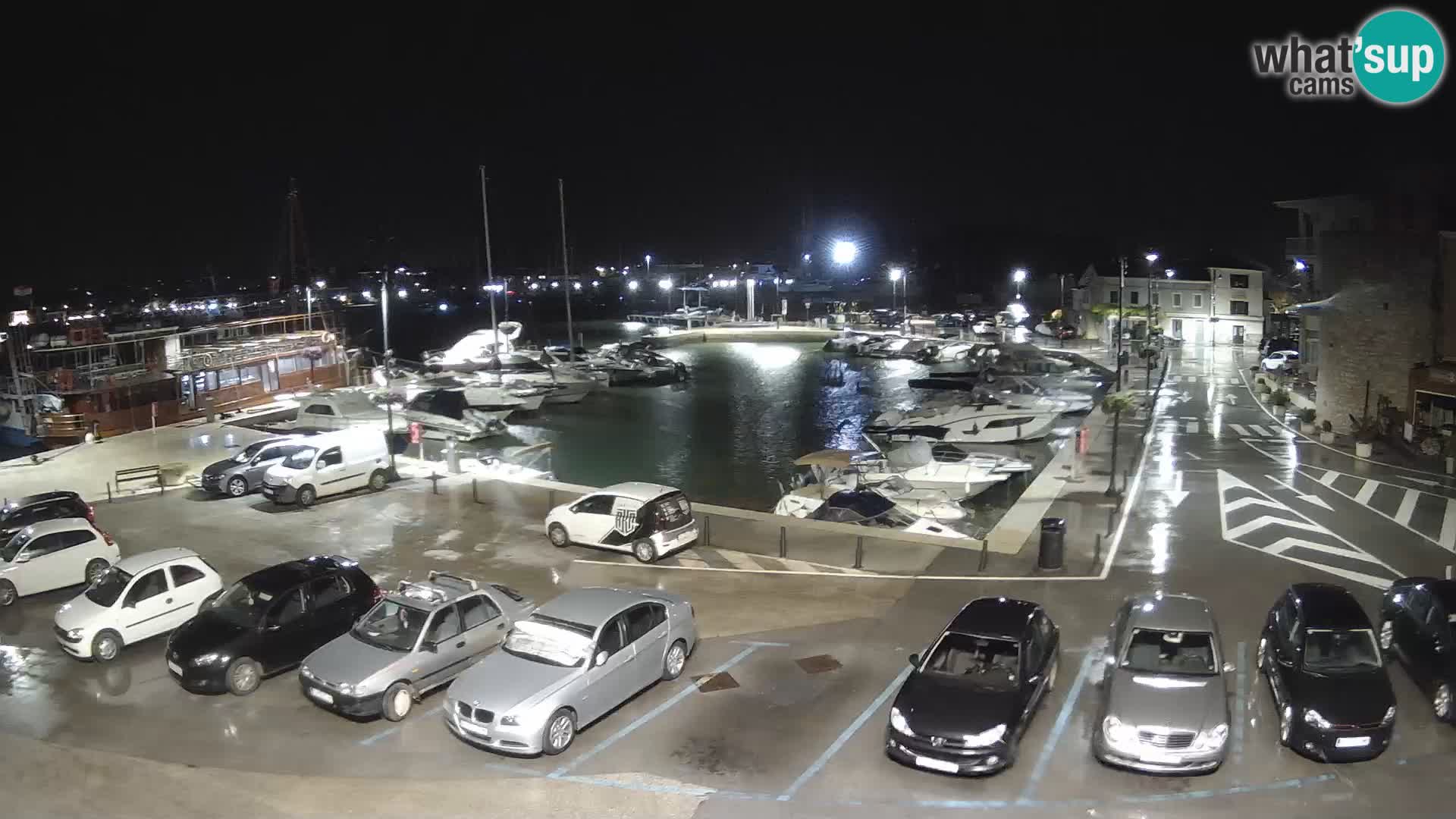 Novigrad | Porporela marina