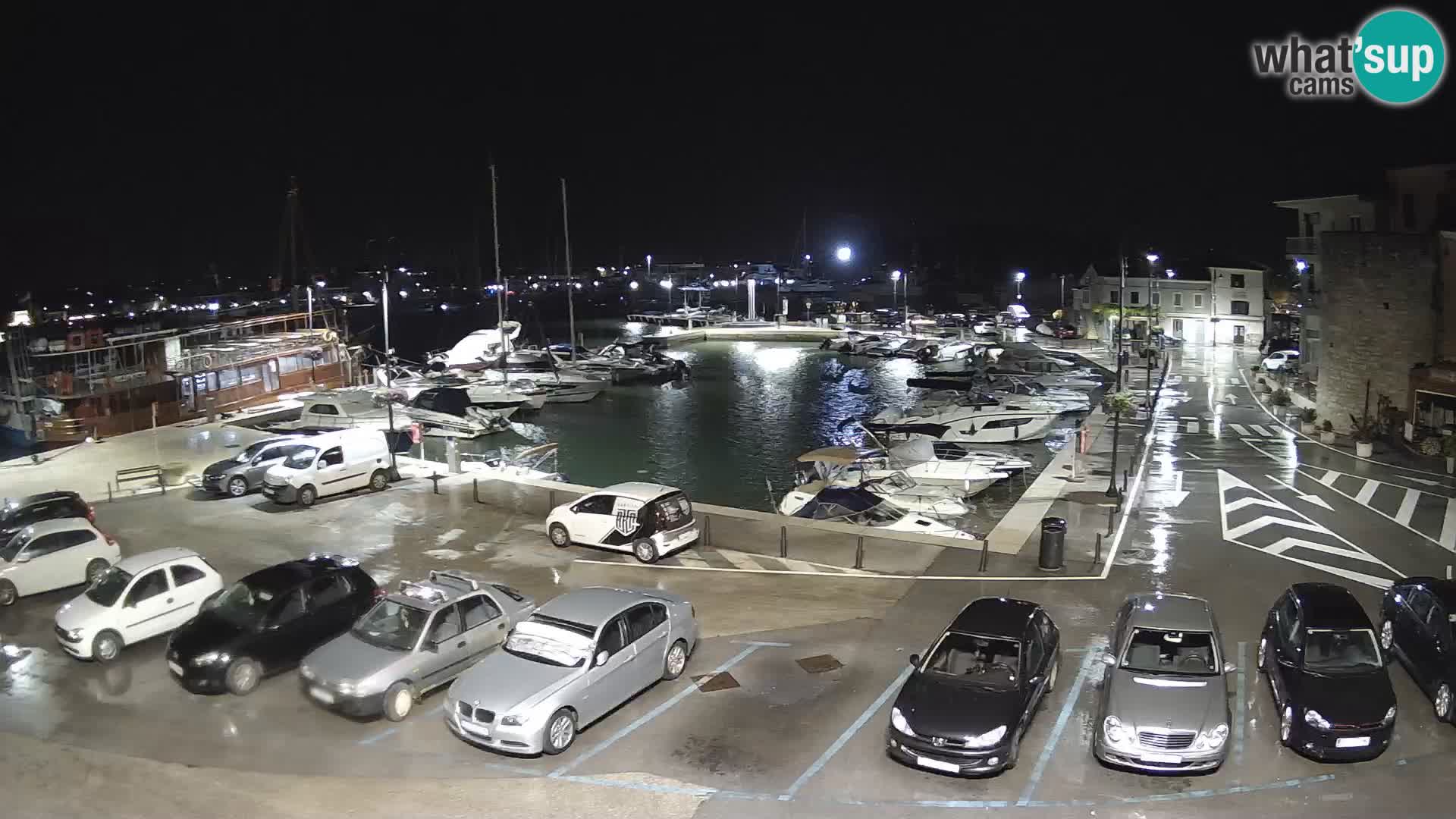 Novigrad | Porporela marina