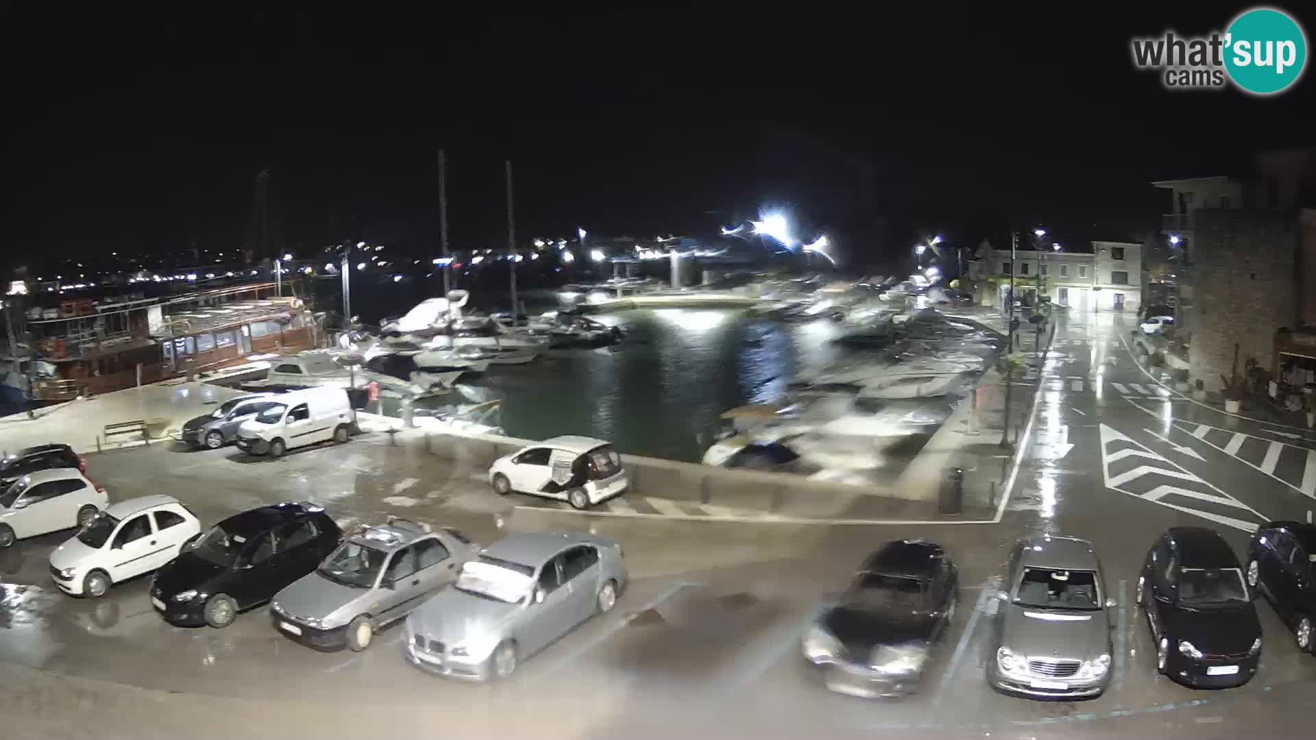 Novigrad | Porporela marina
