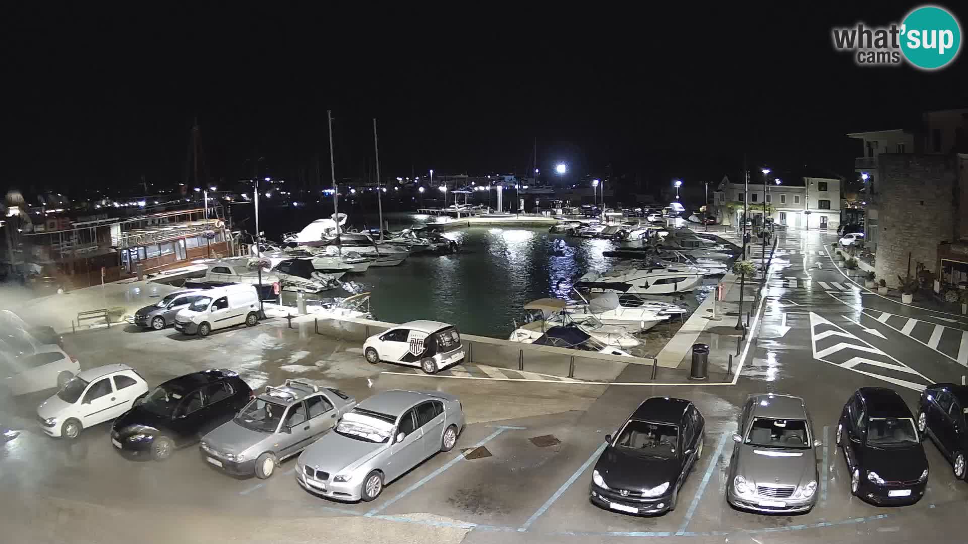 Novigrad | Porporela marina