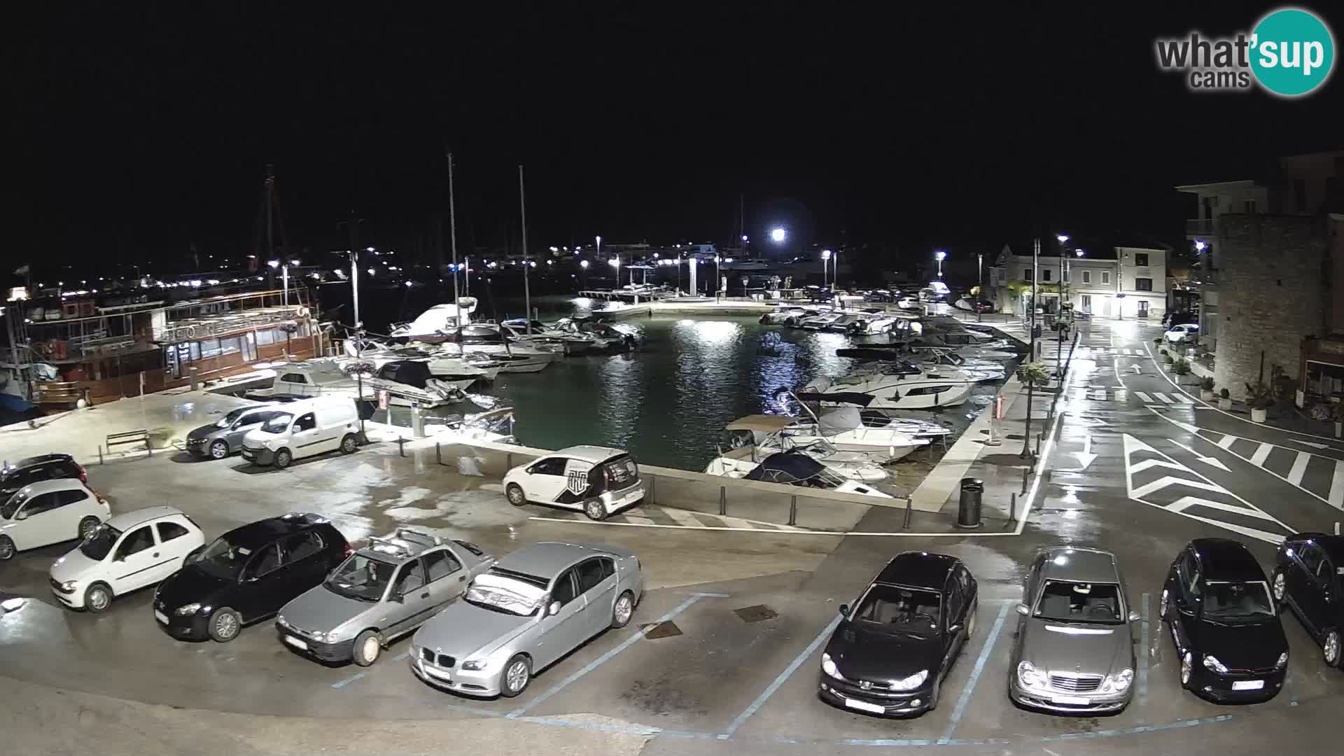 Novigrad | Porporela marina