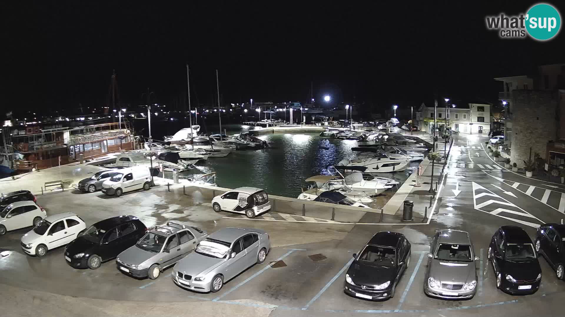 Novigrad | Porporela marina