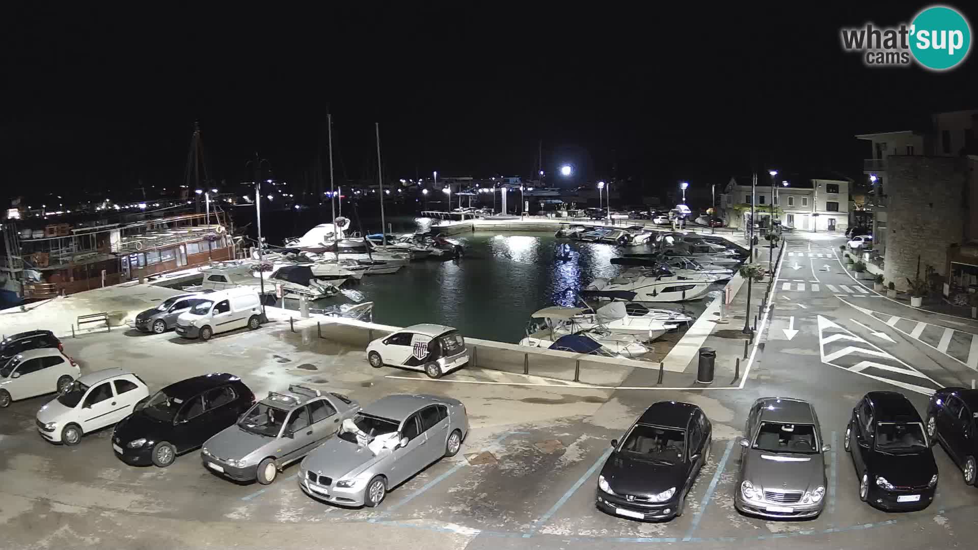 Novigrad | Porporela marina