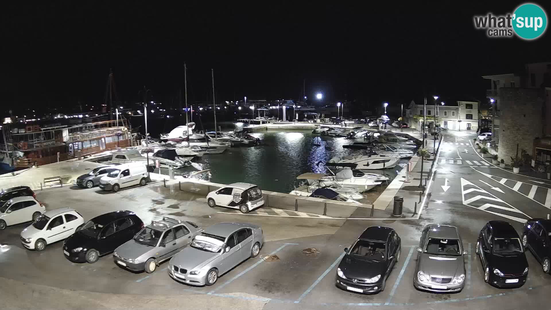 Novigrad | Porporela marina