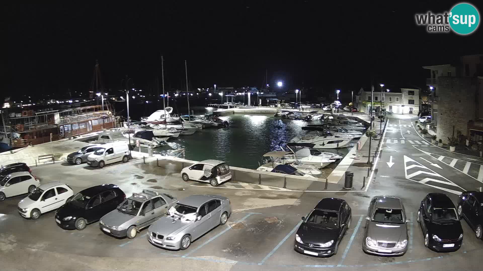 Novigrad | Porporela marina