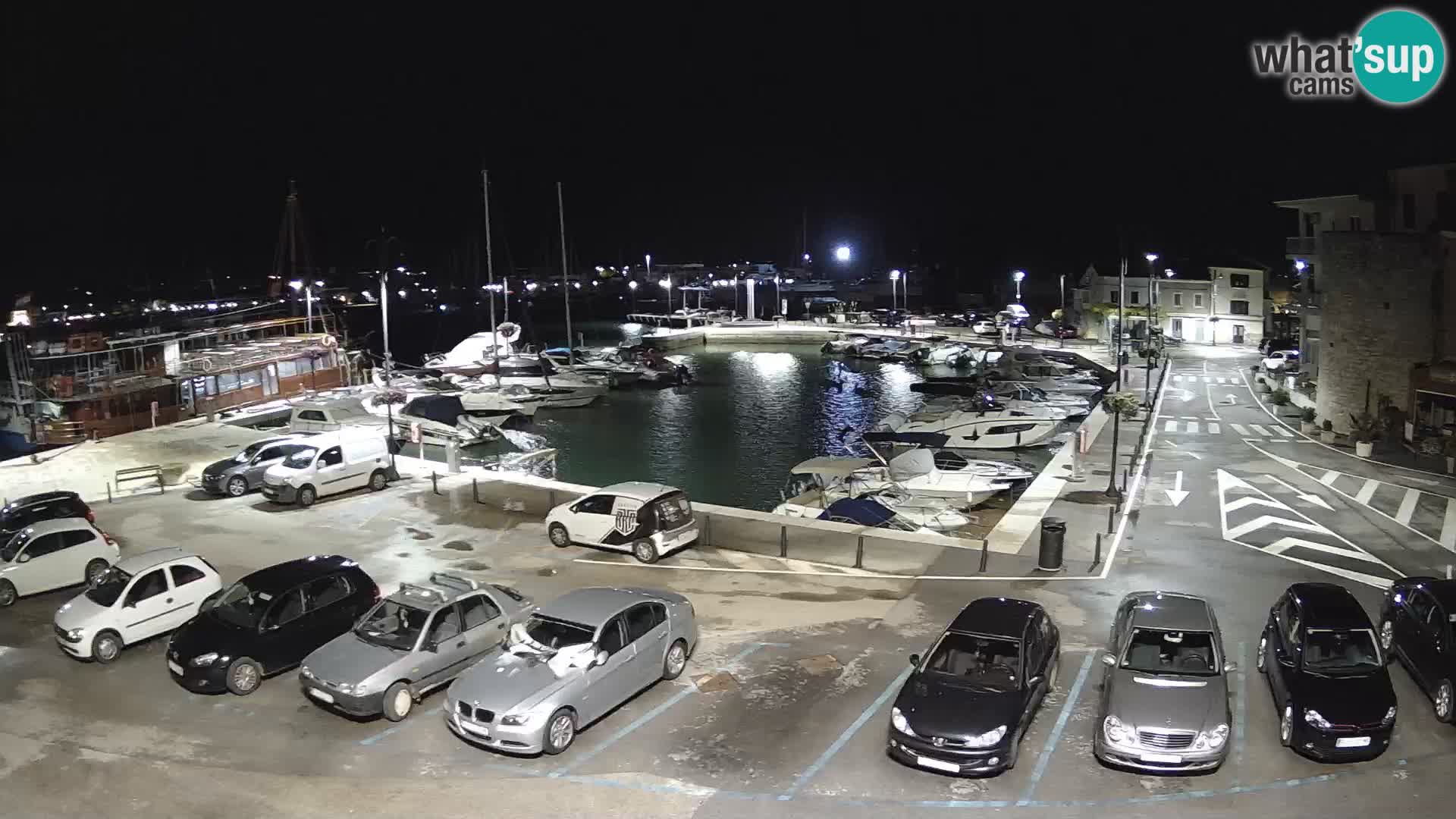 Novigrad | Porporela marina
