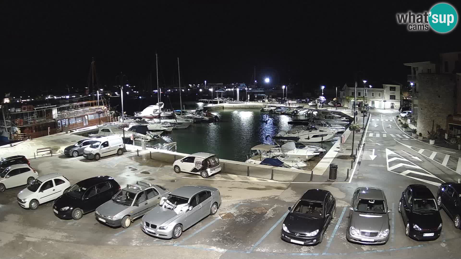 Novigrad | Porporela marina