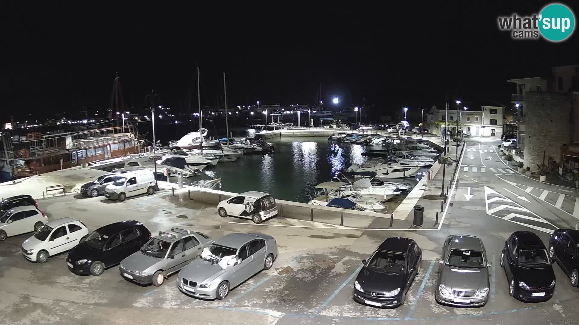 Novigrad | Porporela marina