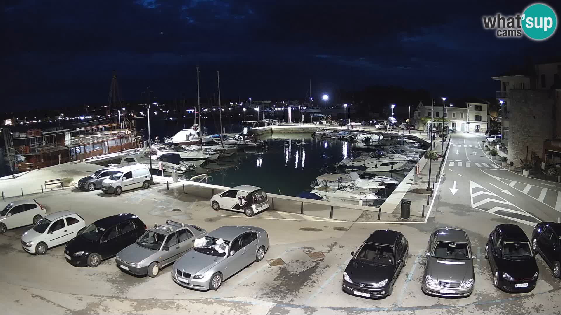 Novigrad | Porporela marina