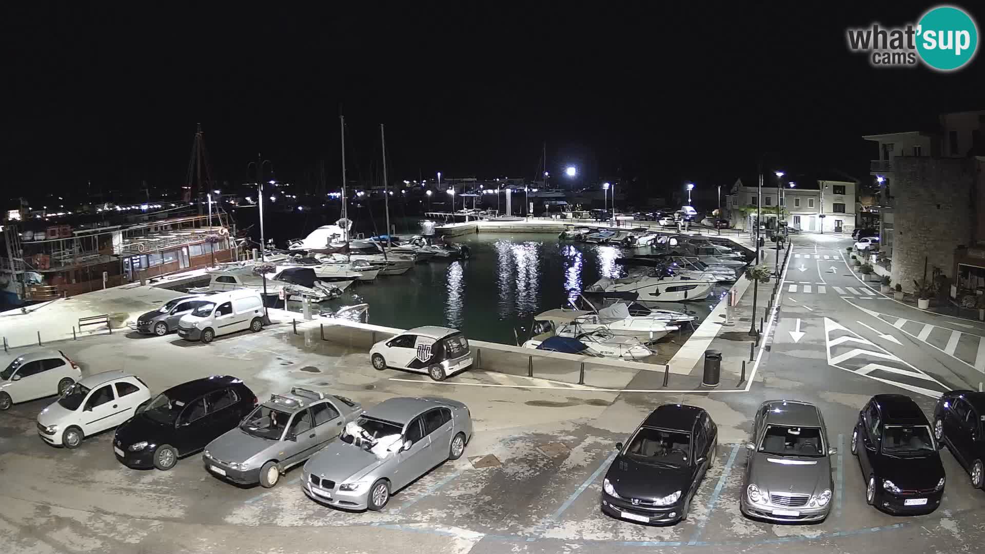 Novigrad | Porporela marina
