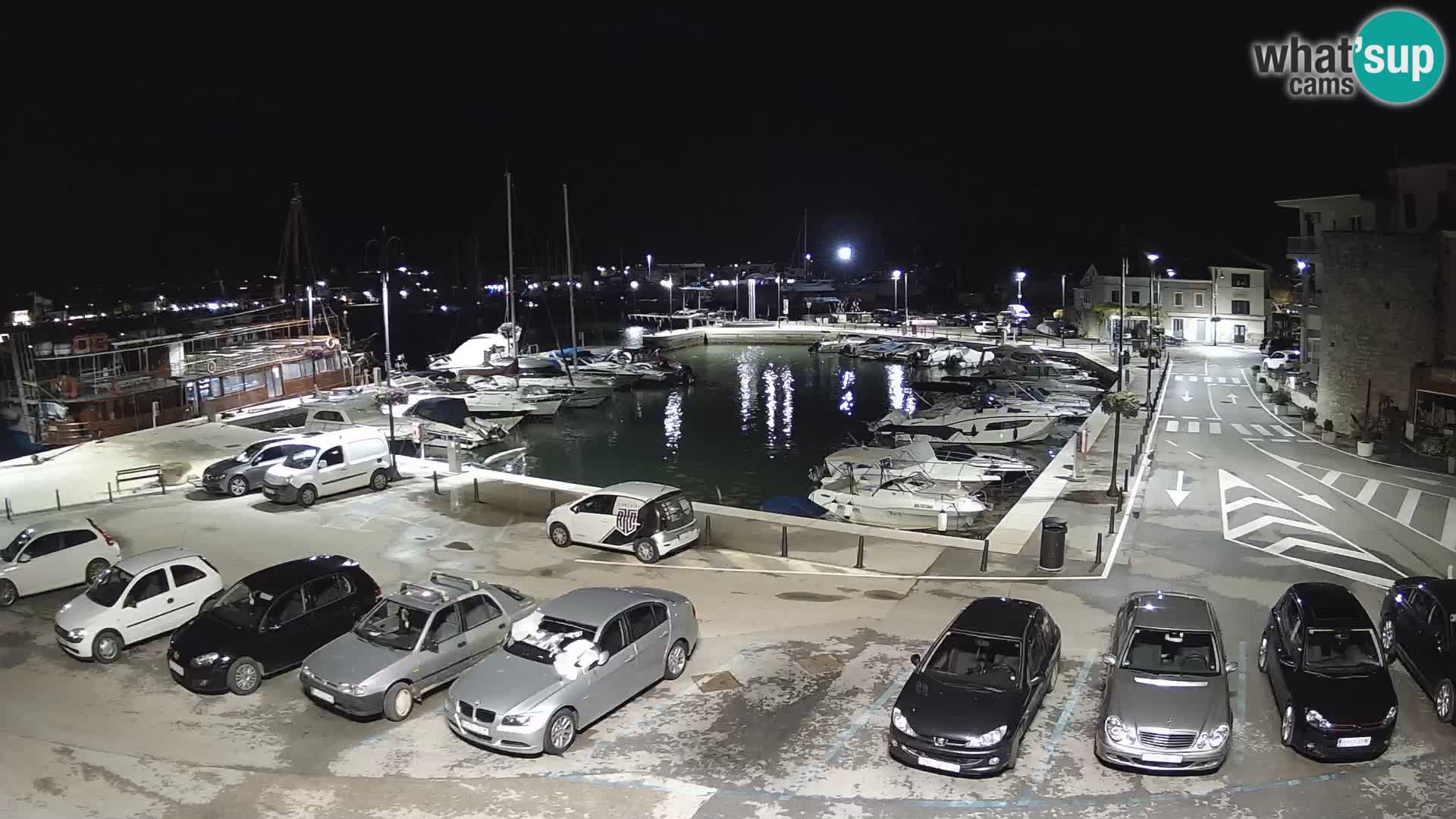 Novigrad | Porporela marina