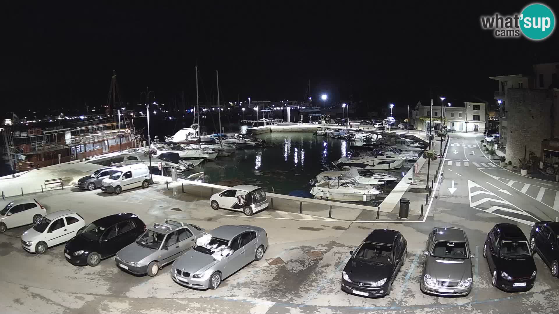 Novigrad | Porporela marina