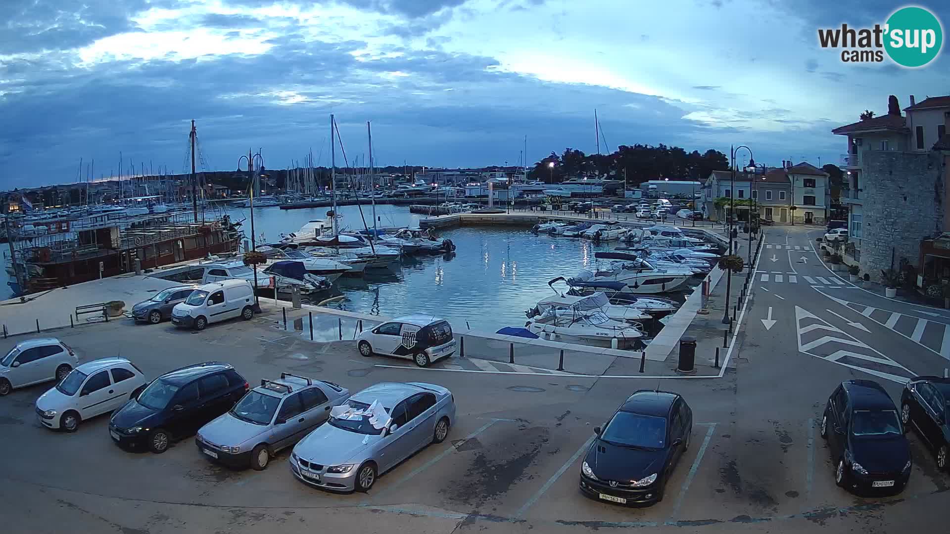 Novigrad | Porporela marina