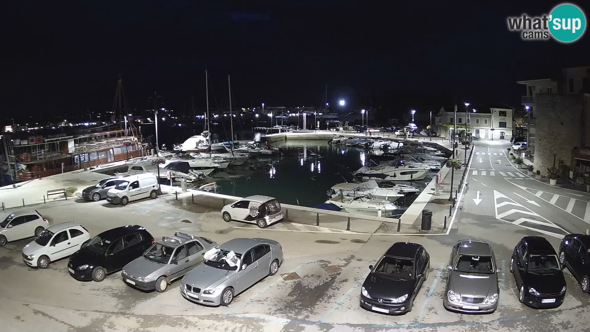 Novigrad | Porporela marina