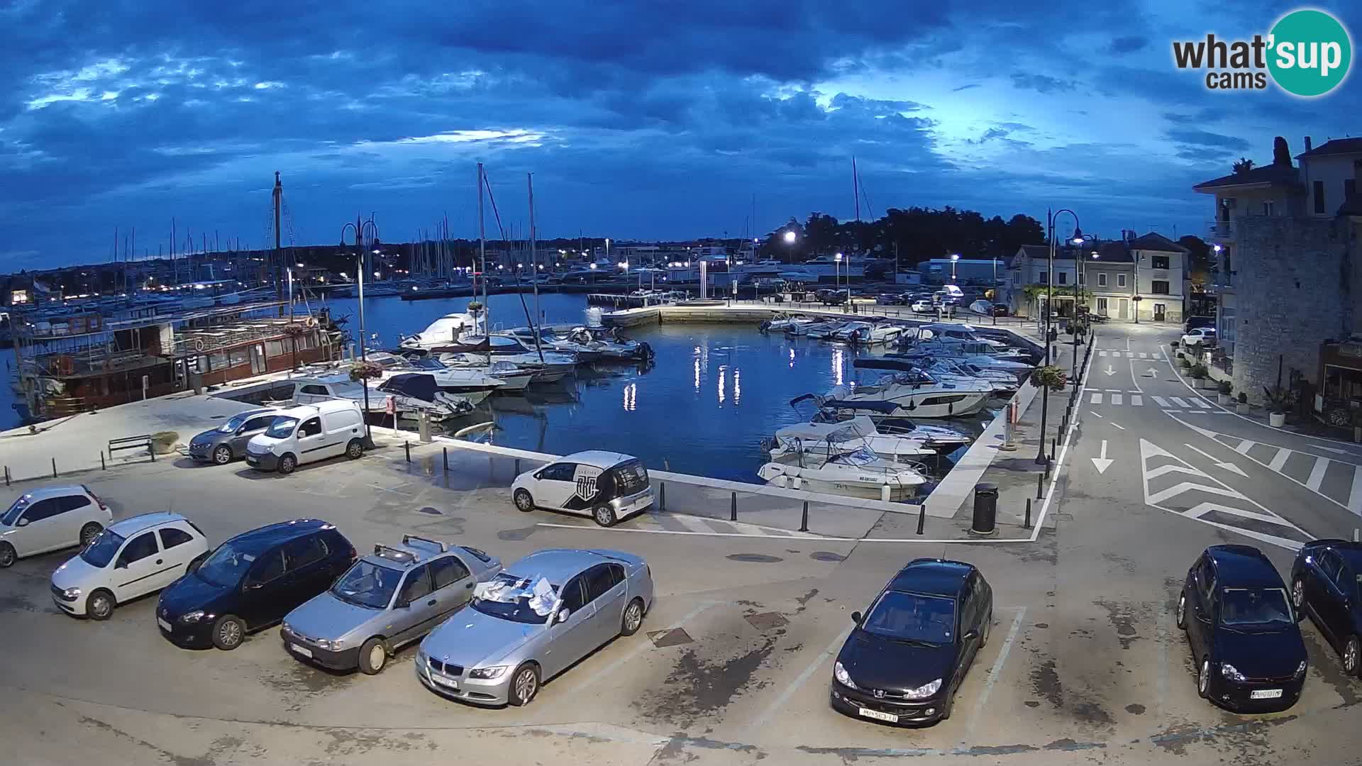 Novigrad | Porporela marina
