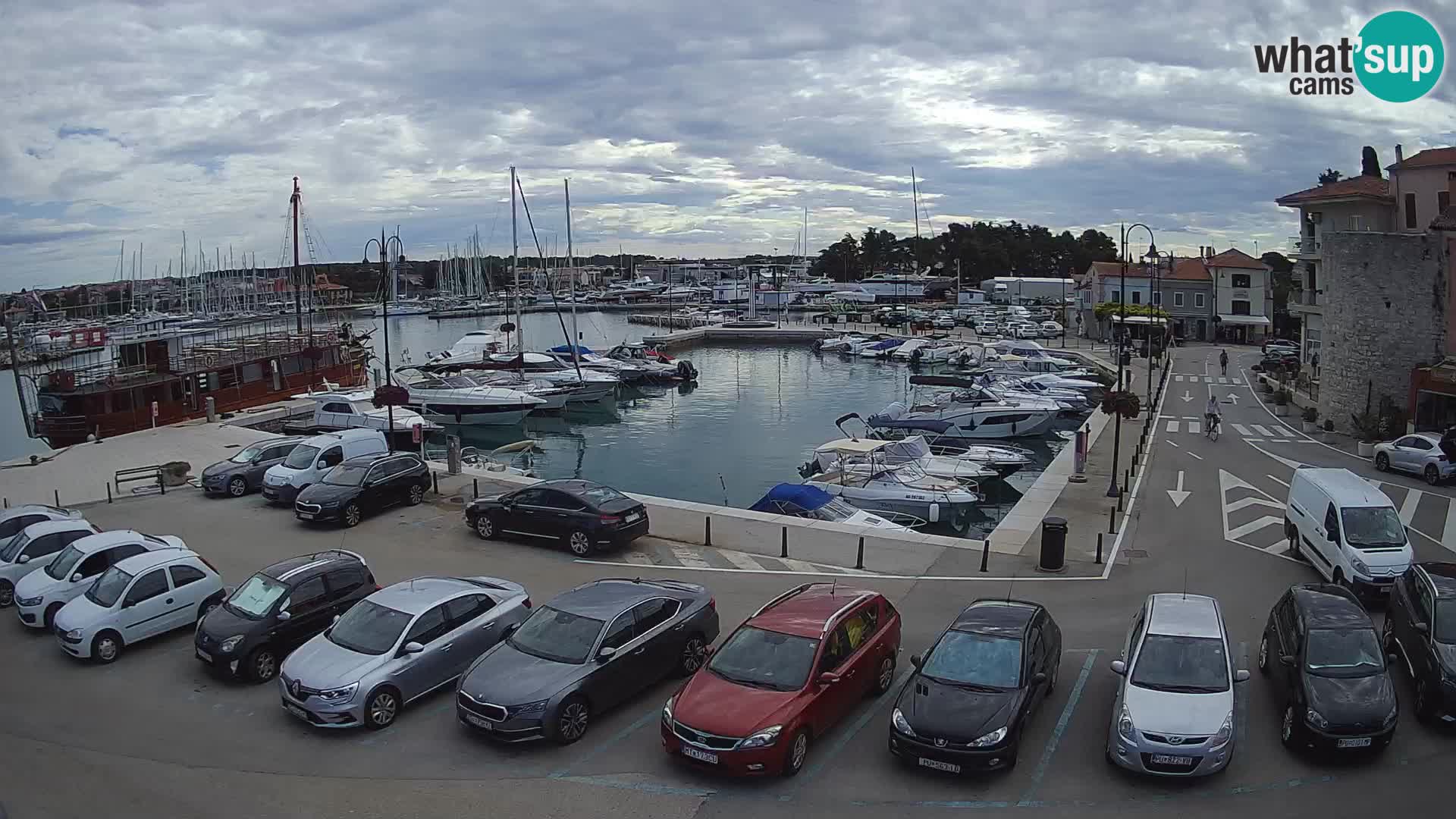 Novigrad | Porporela marina