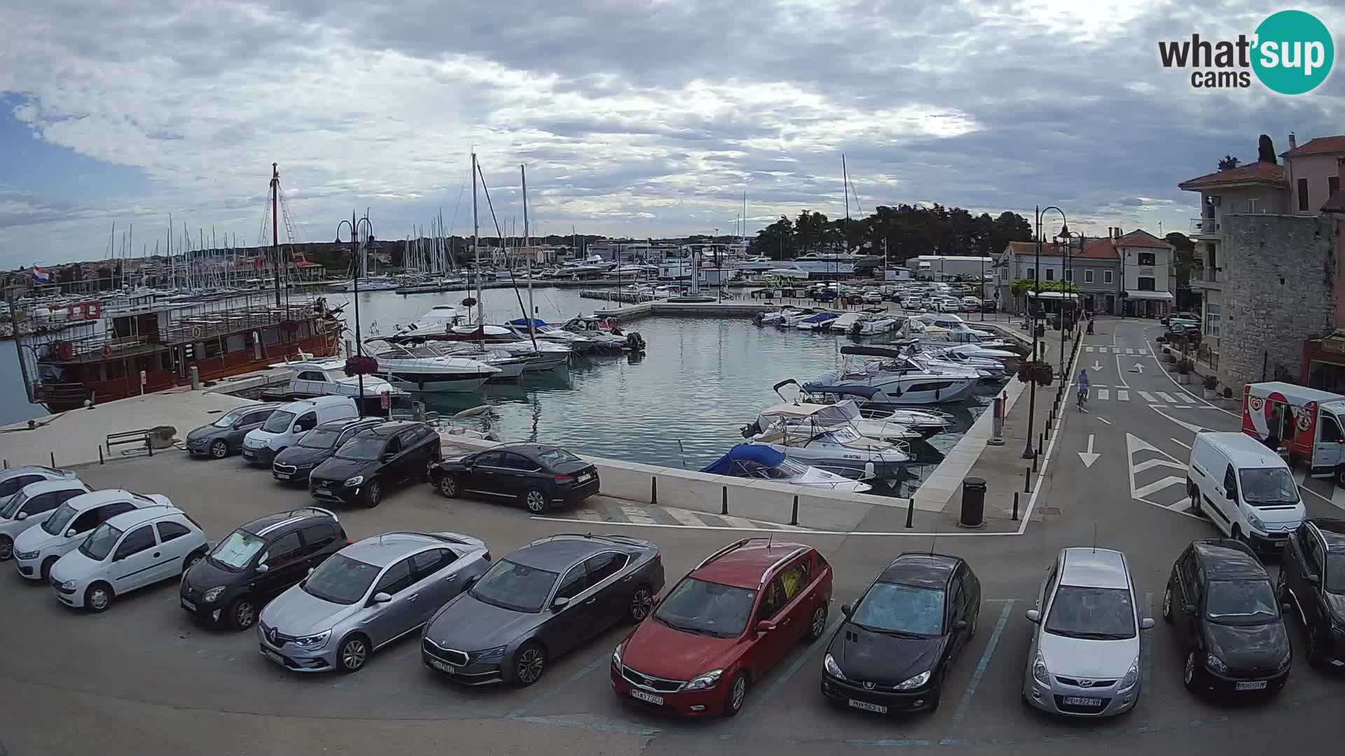 Novigrad | Porporela marina