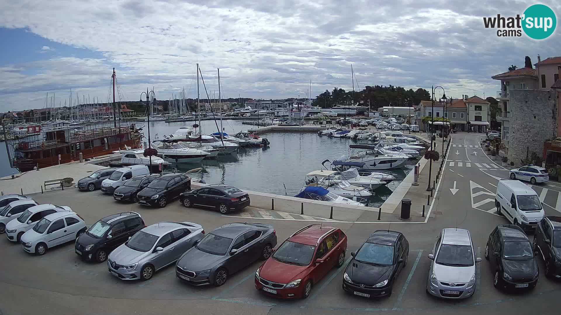 Novigrad | Porporela marina