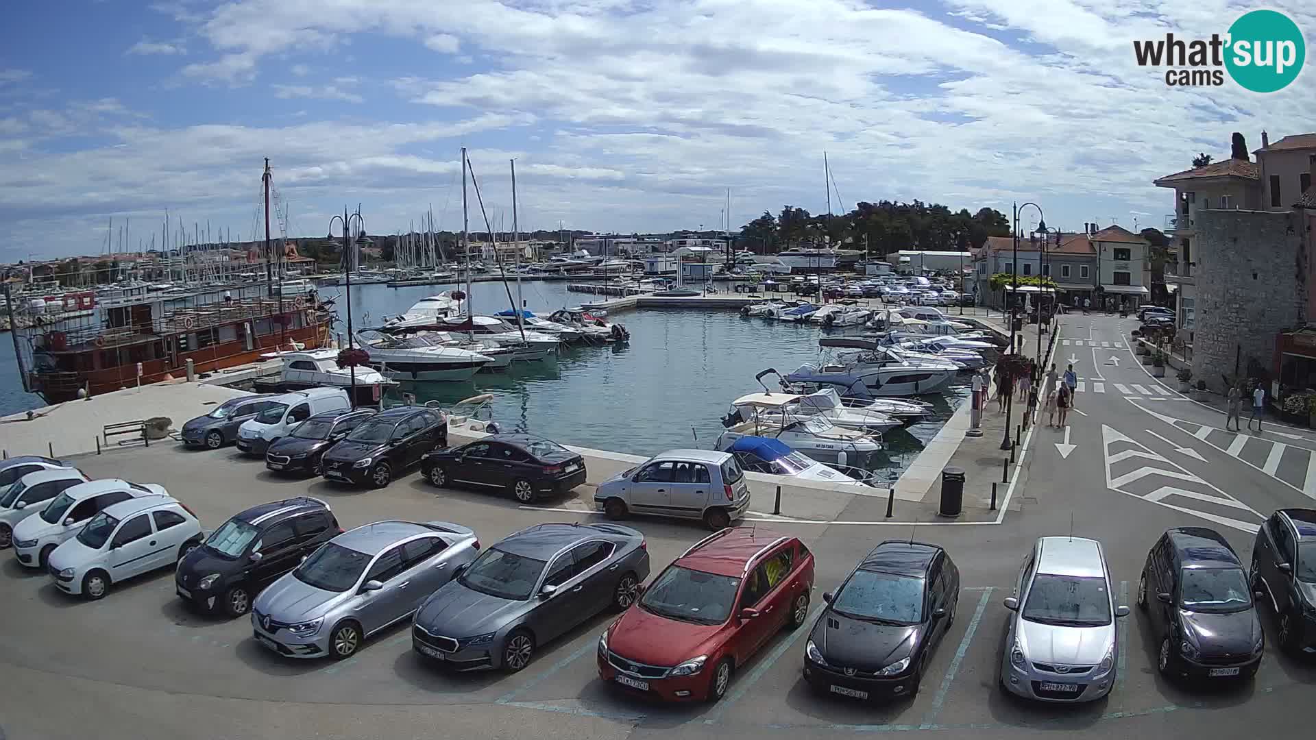 Novigrad | Porporela marina