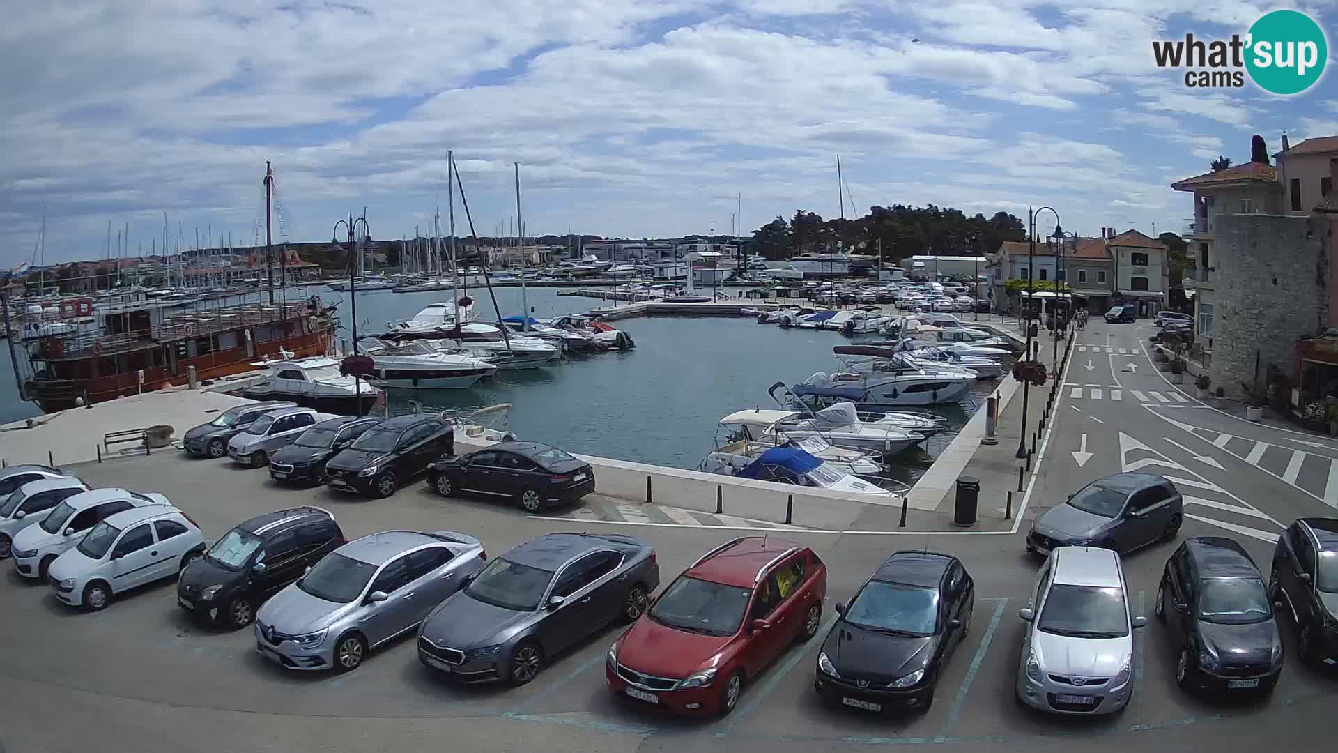 Novigrad | Porporela marina