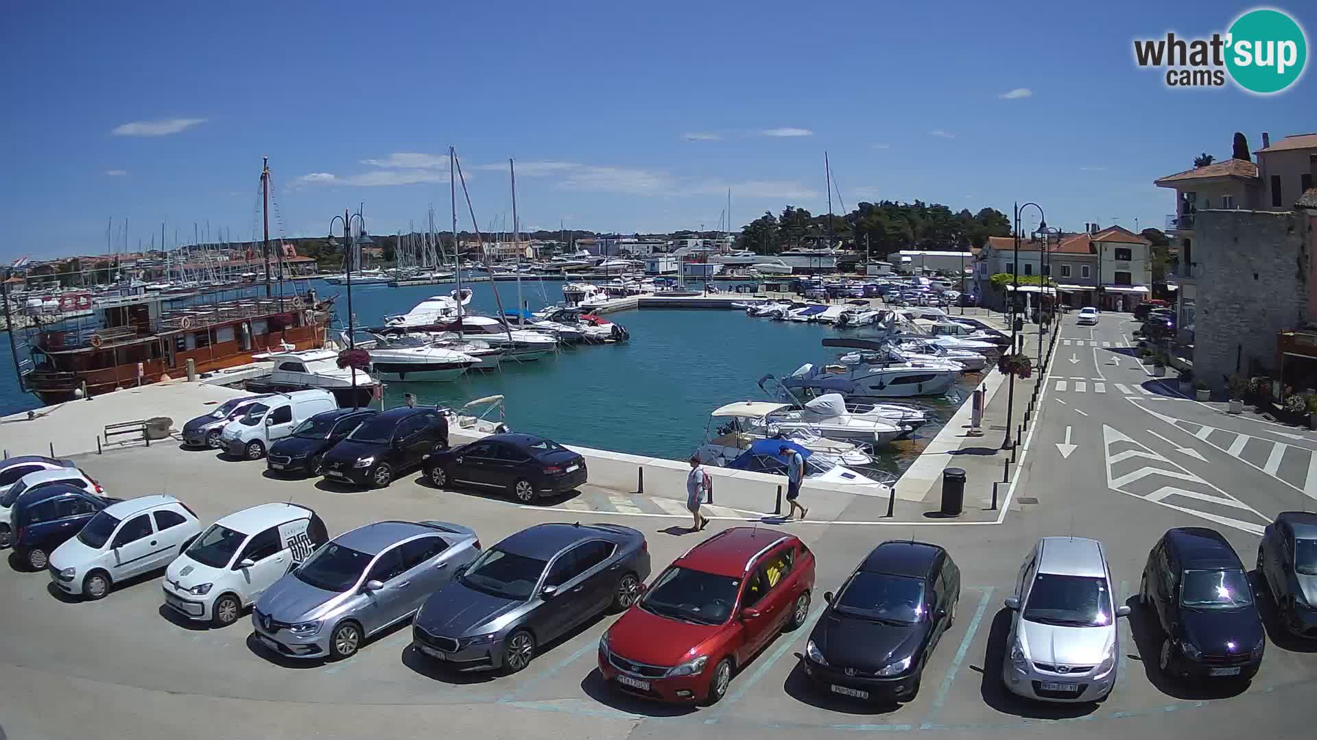 Novigrad | Porporela marina