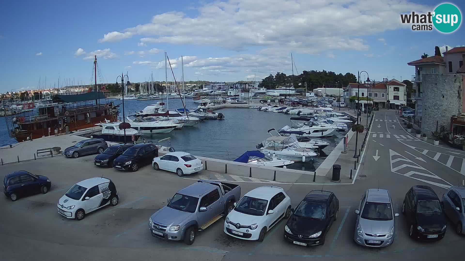 Novigrad | Porporela marina