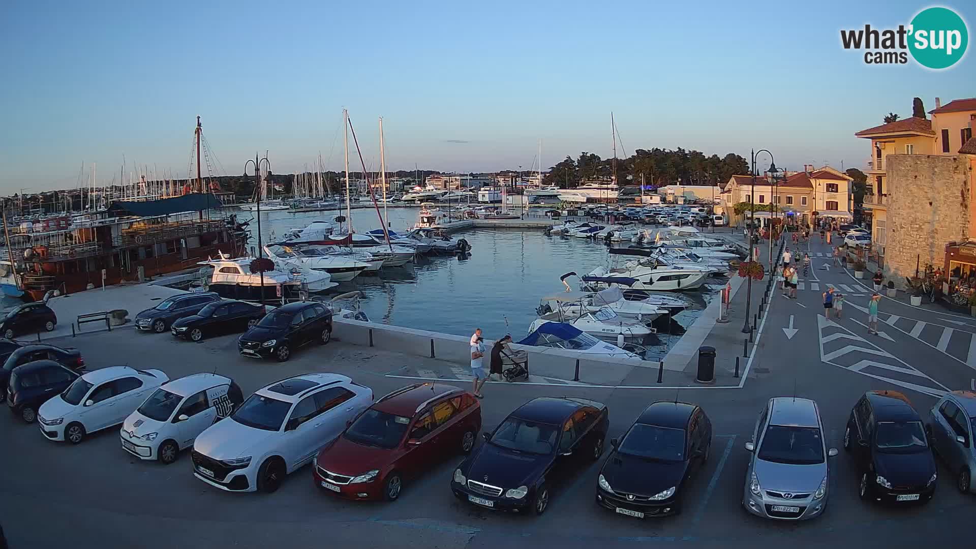 Novigrad | Porporela marina