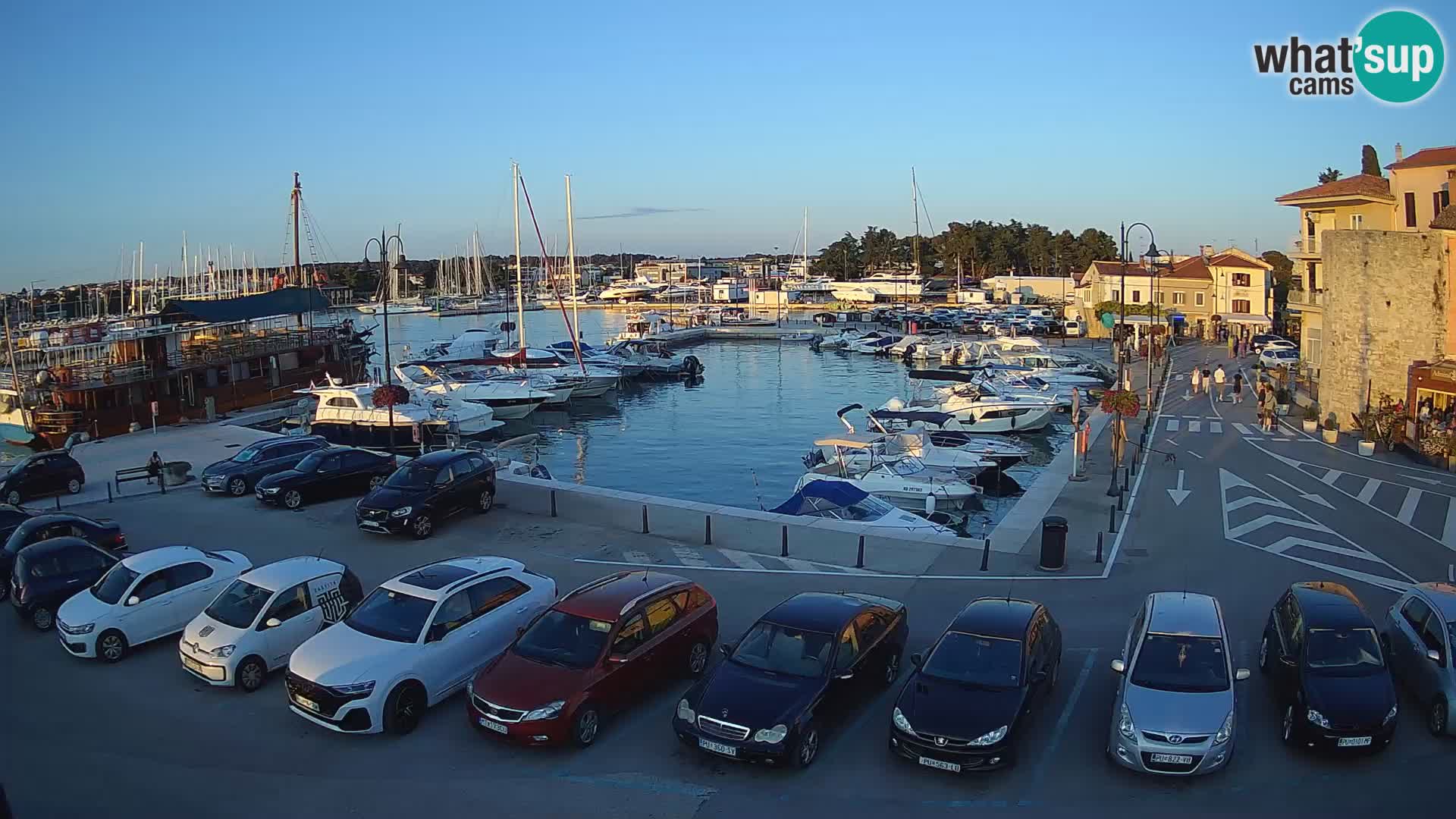 Novigrad | Porporela marina