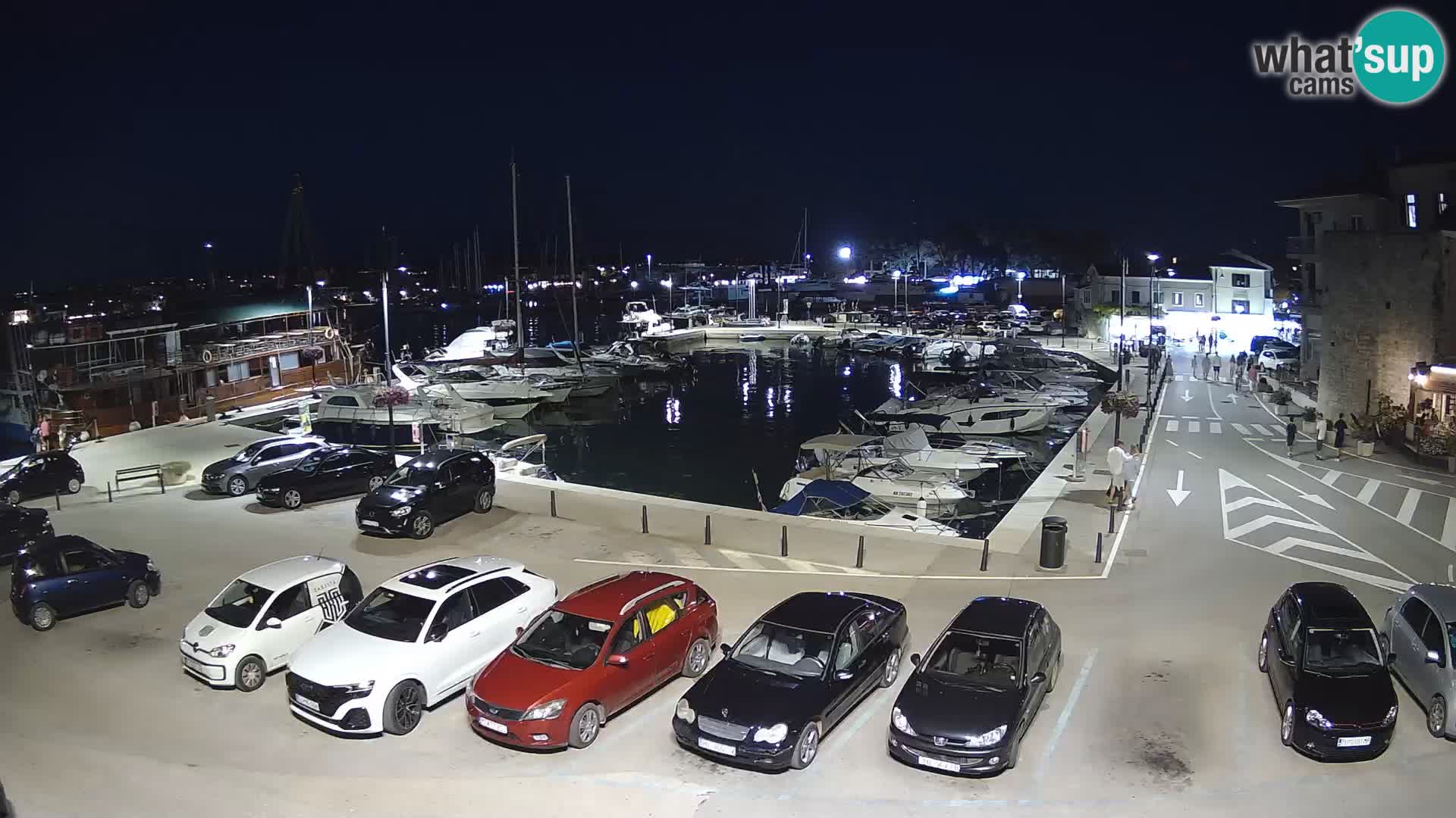 Novigrad | Porporela marina