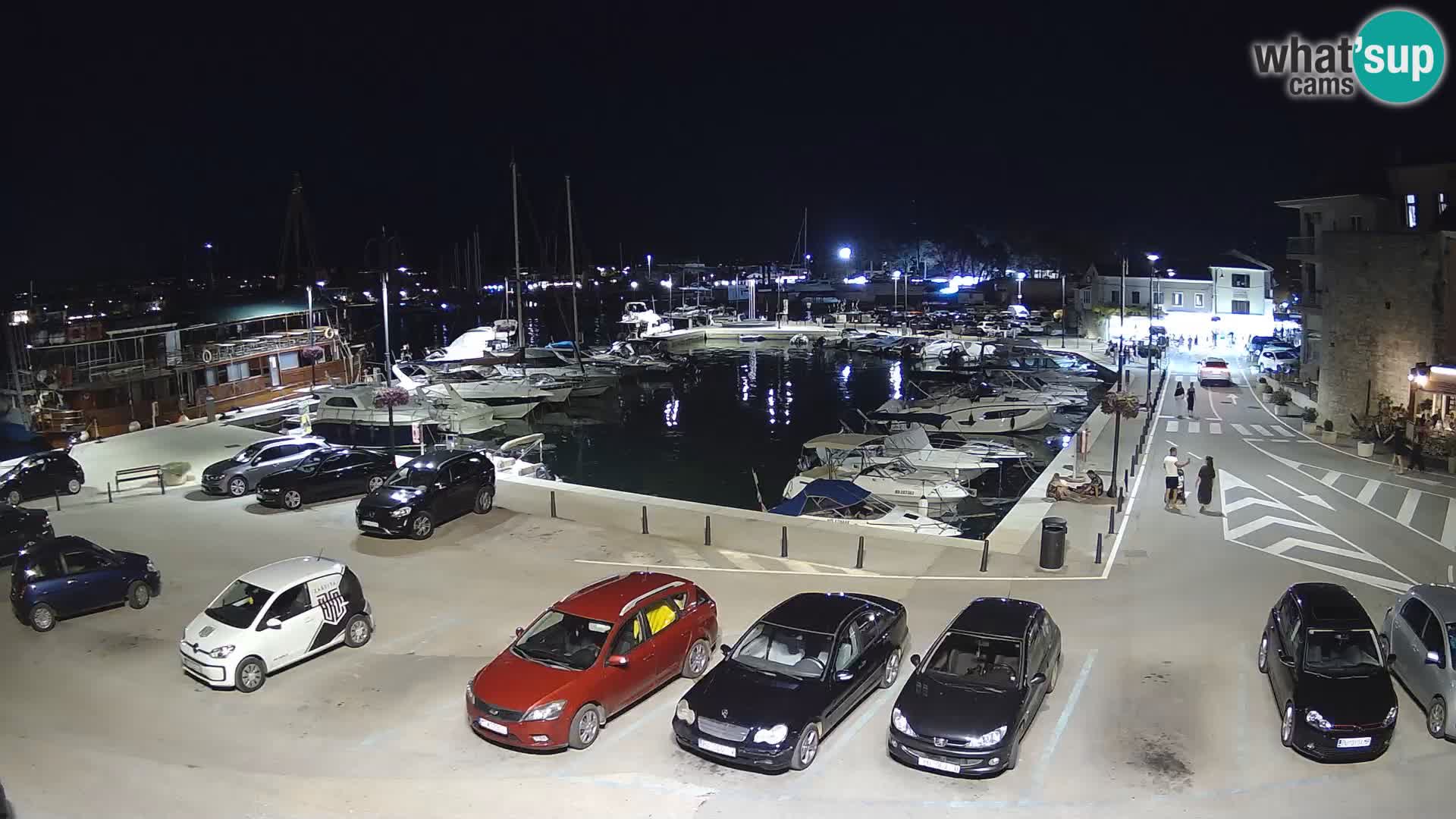 Novigrad | Porporela marina