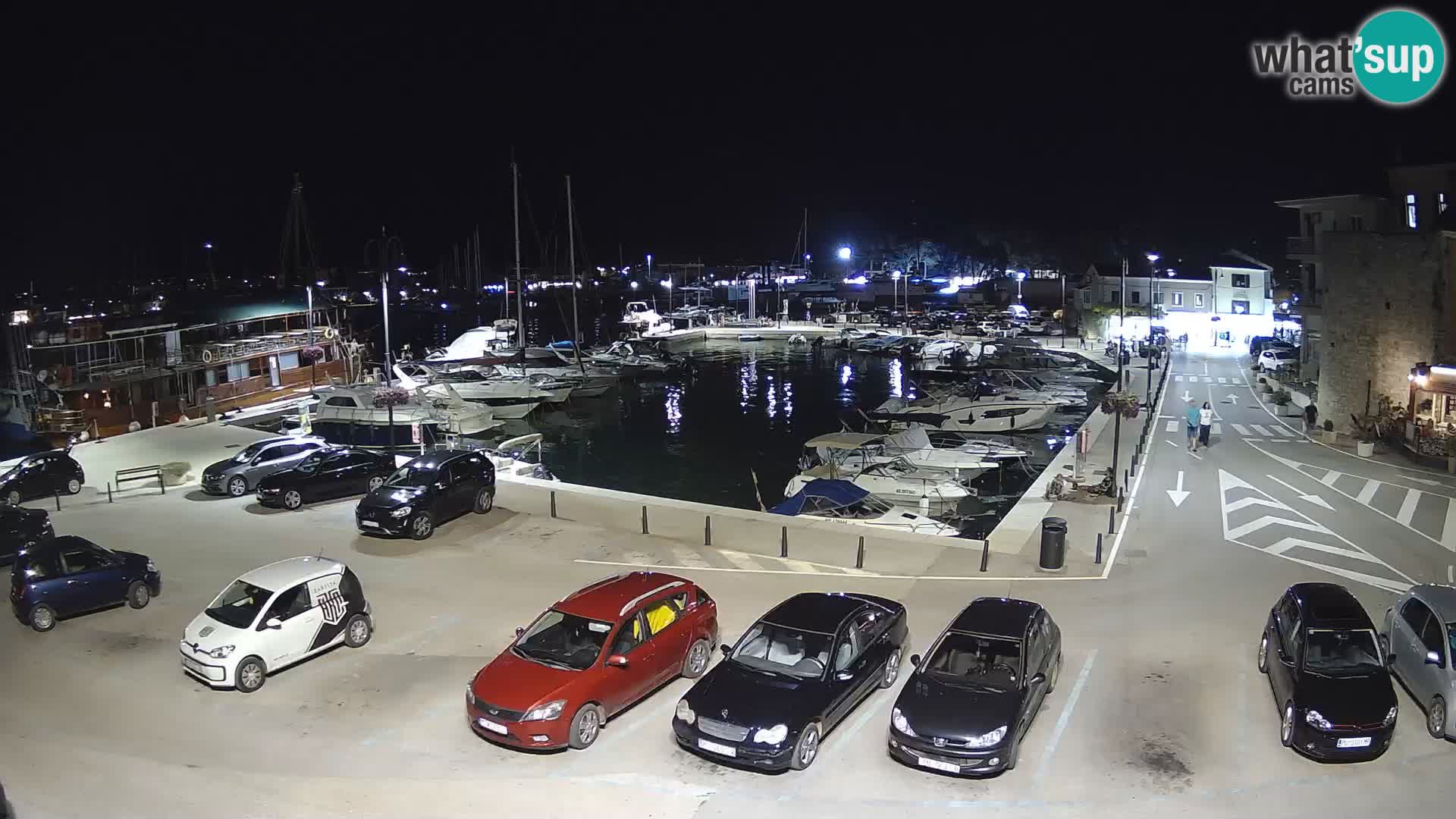 Novigrad | Porporela marina