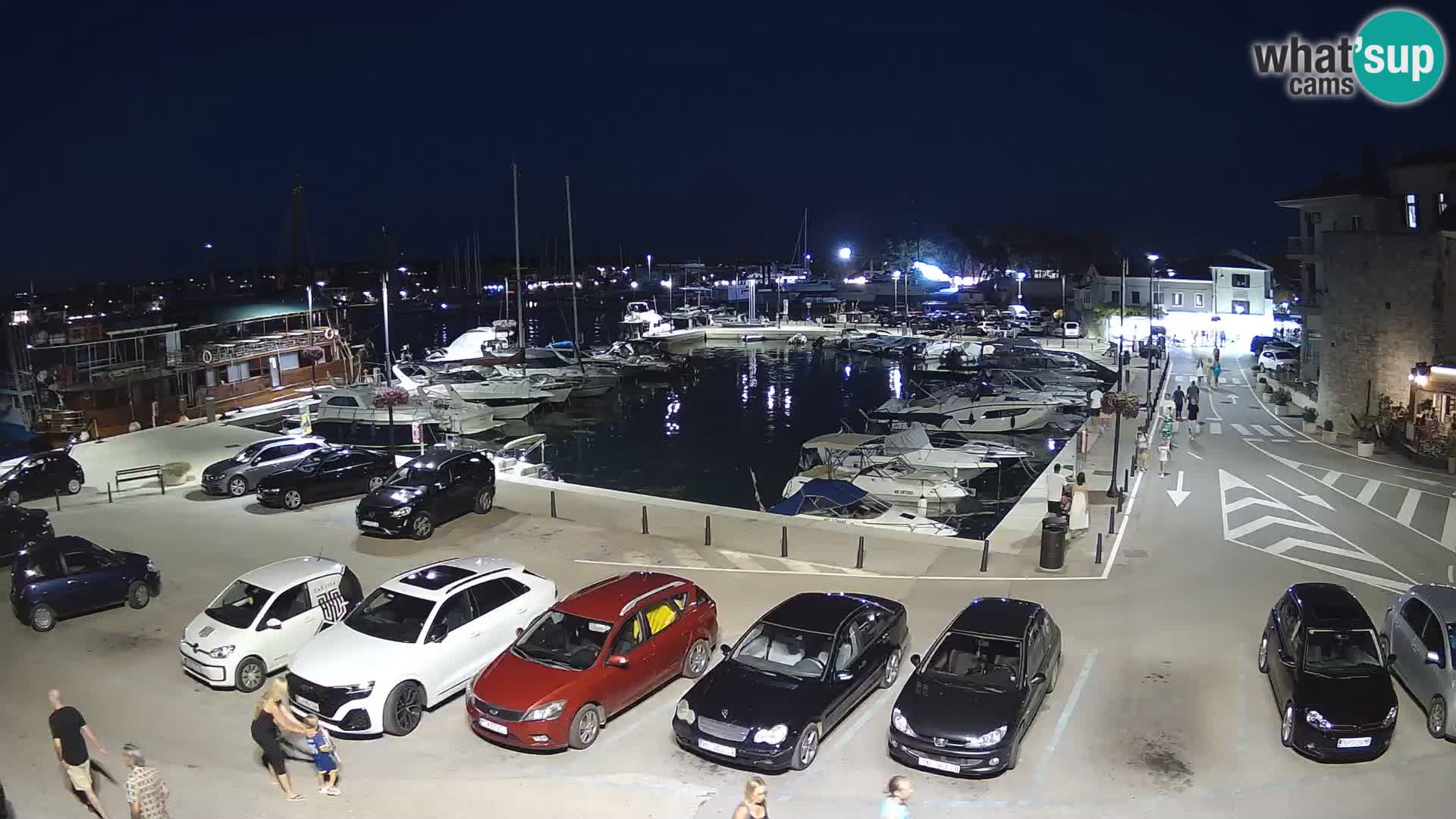 Novigrad | Porporela marina