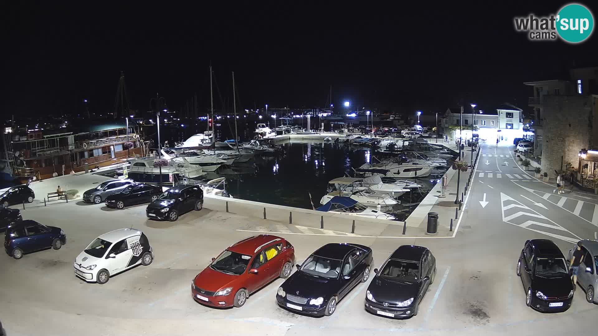 Novigrad | Porporela marina