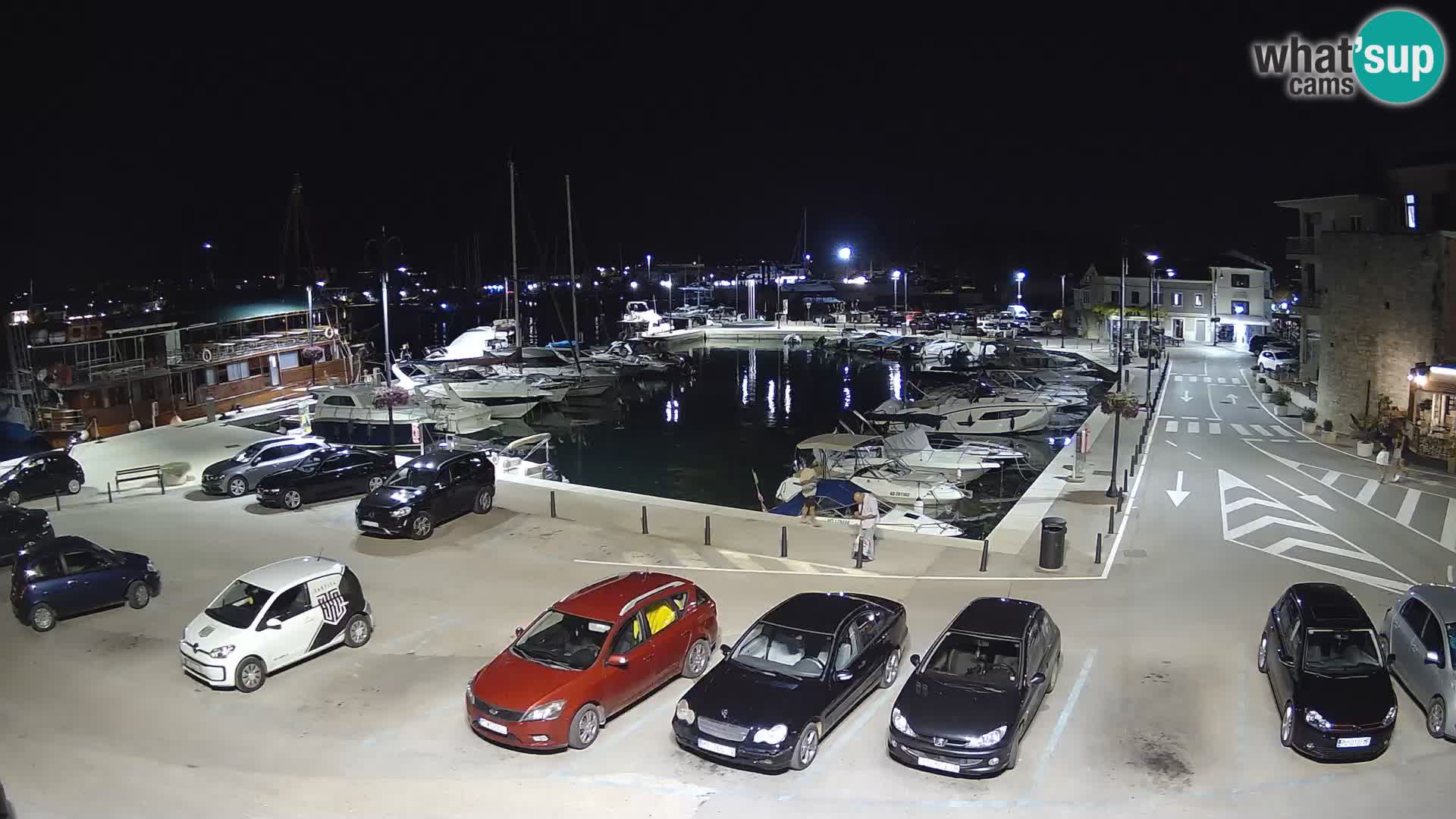 Novigrad | Porporela marina