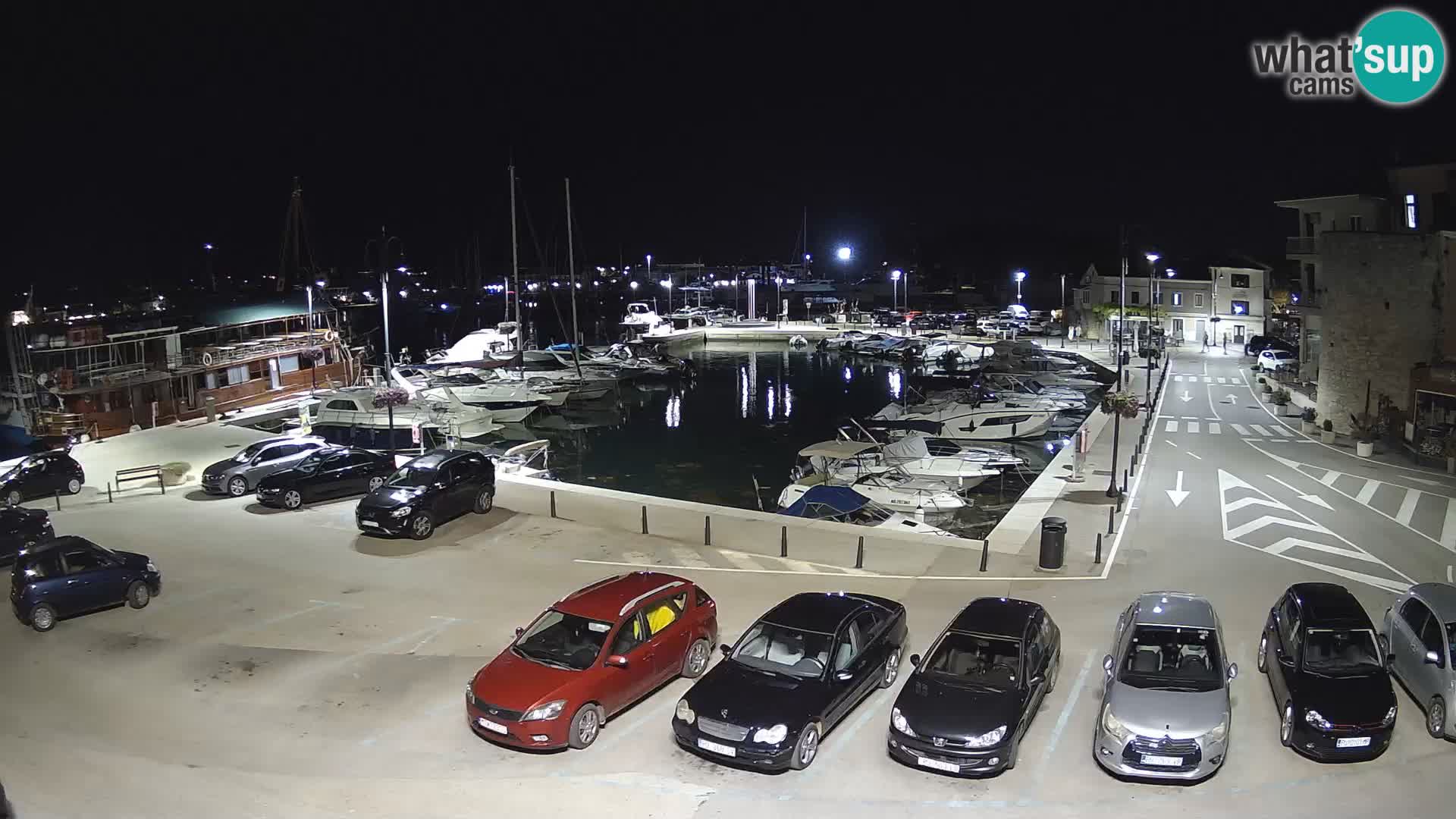 Novigrad | Porporela marina