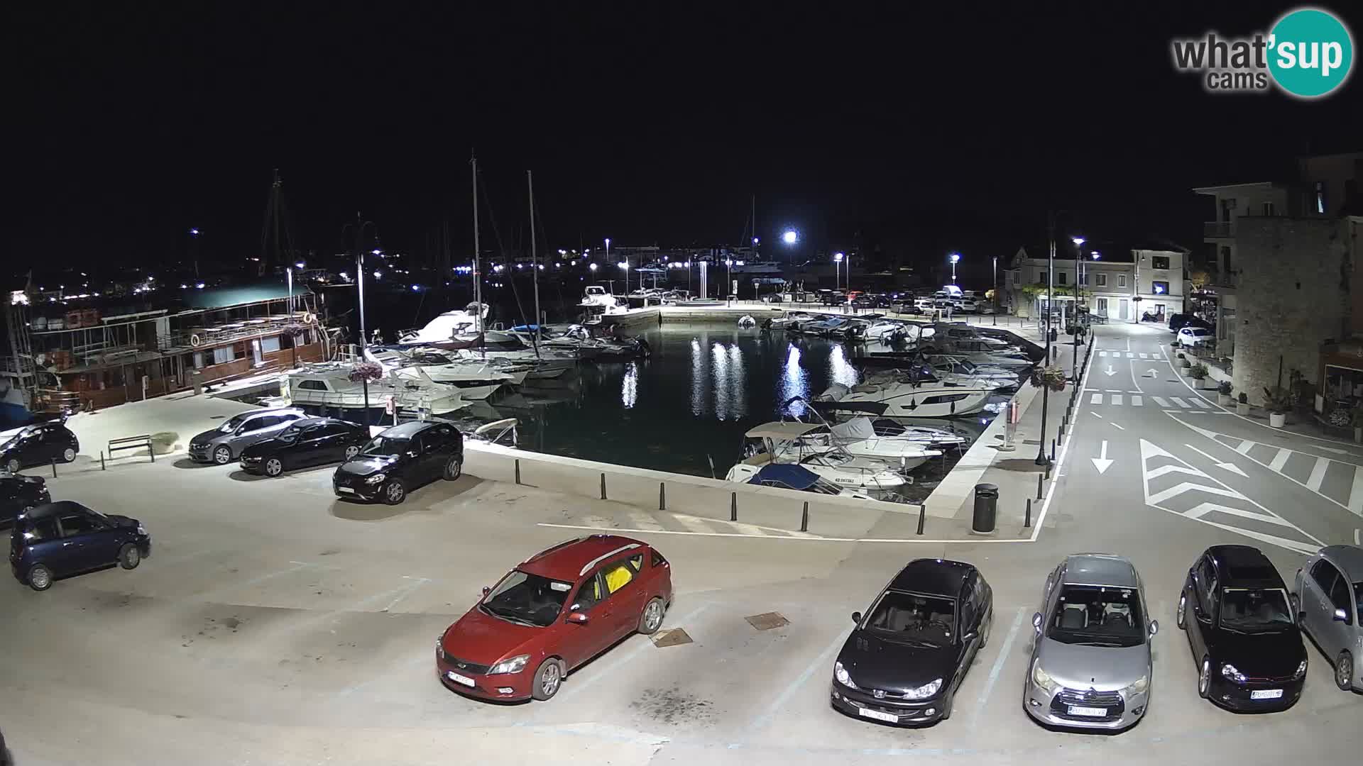 Novigrad | Porporela marina