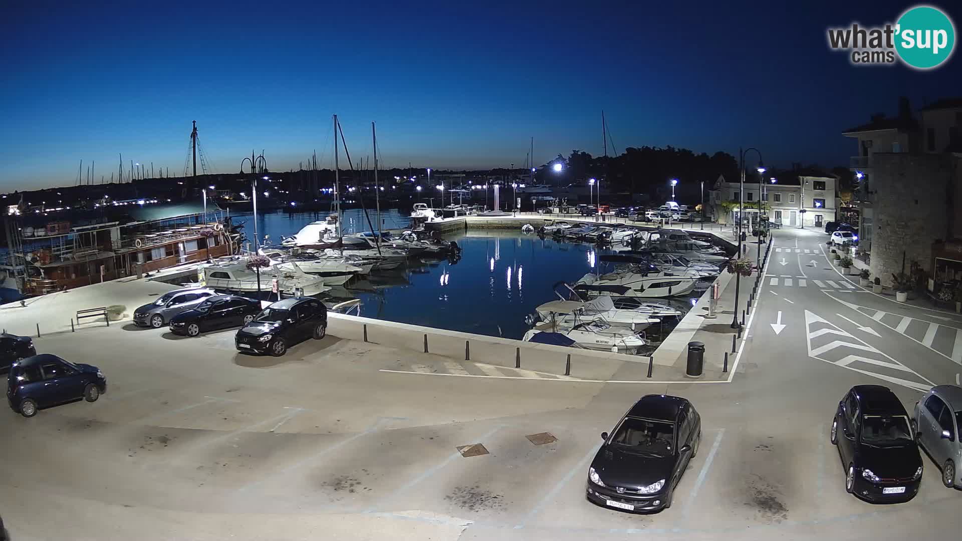 Novigrad | Porporela marina