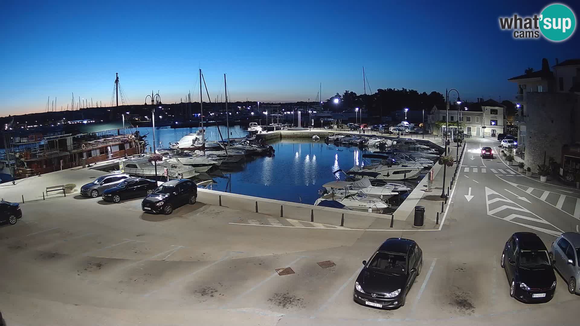 Novigrad | Porporela marina