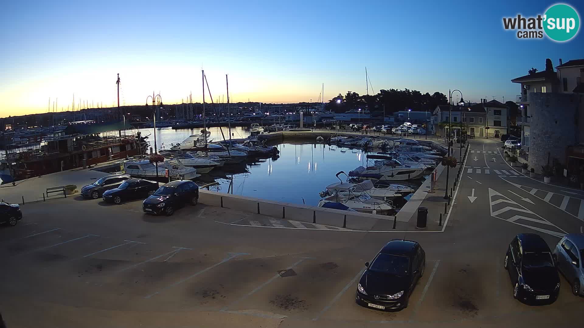 Novigrad | Porporela marina
